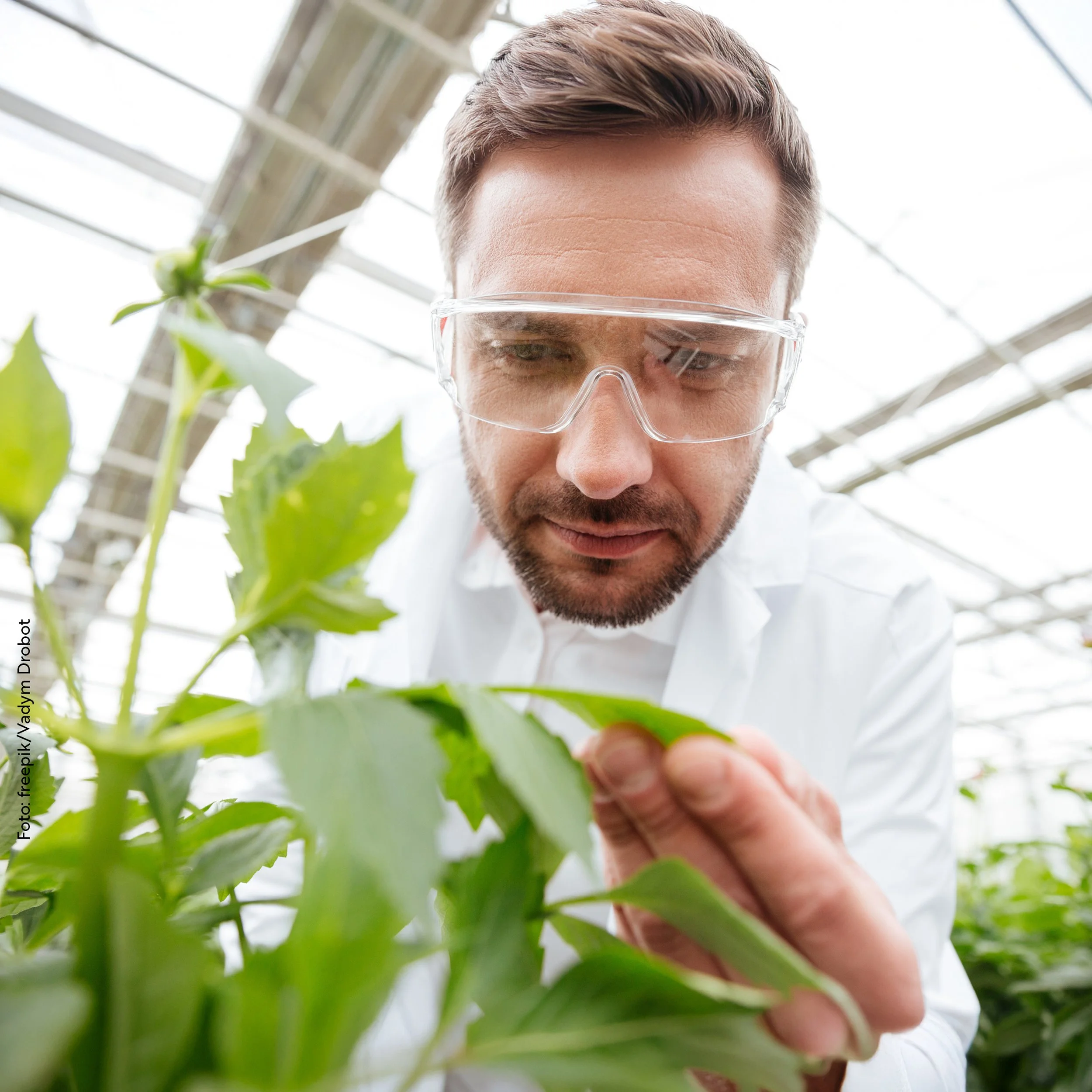 Wahre Plant Fans: Pflanzenmediziner