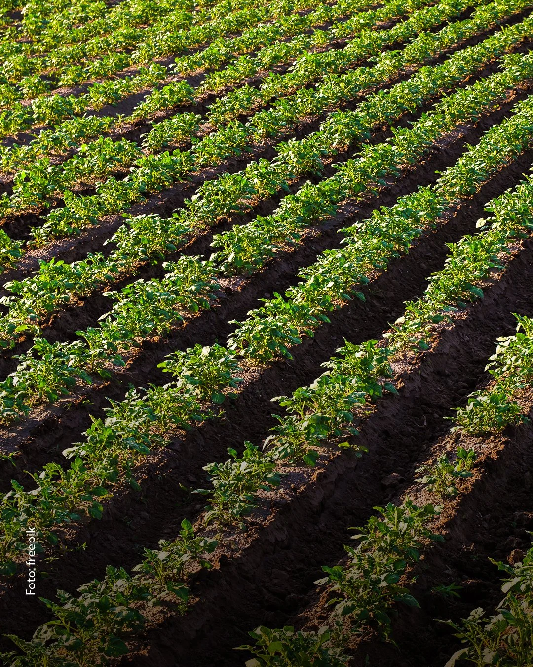 Was heißt hier integriert?!