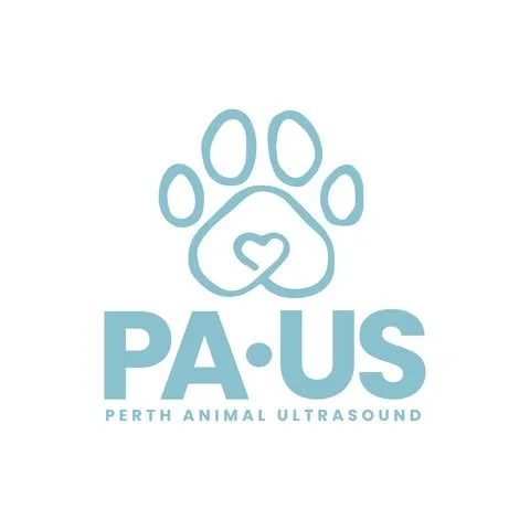 Paus - Veterinary Ultrasound Clinic