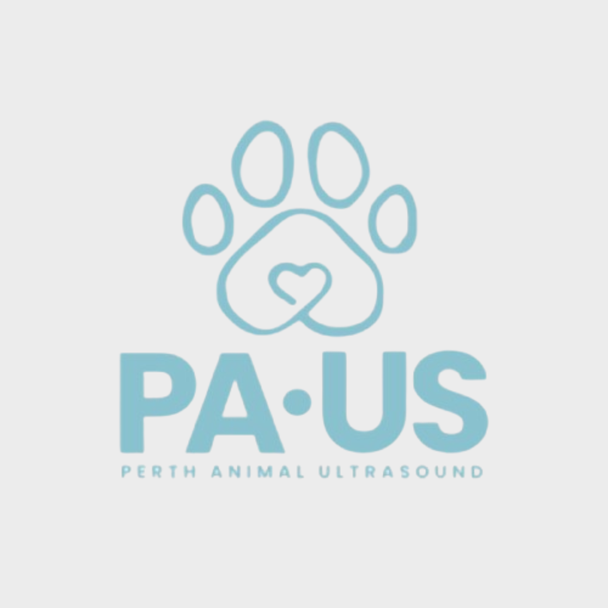 Paus - Veterinary Ultrasound Clinic