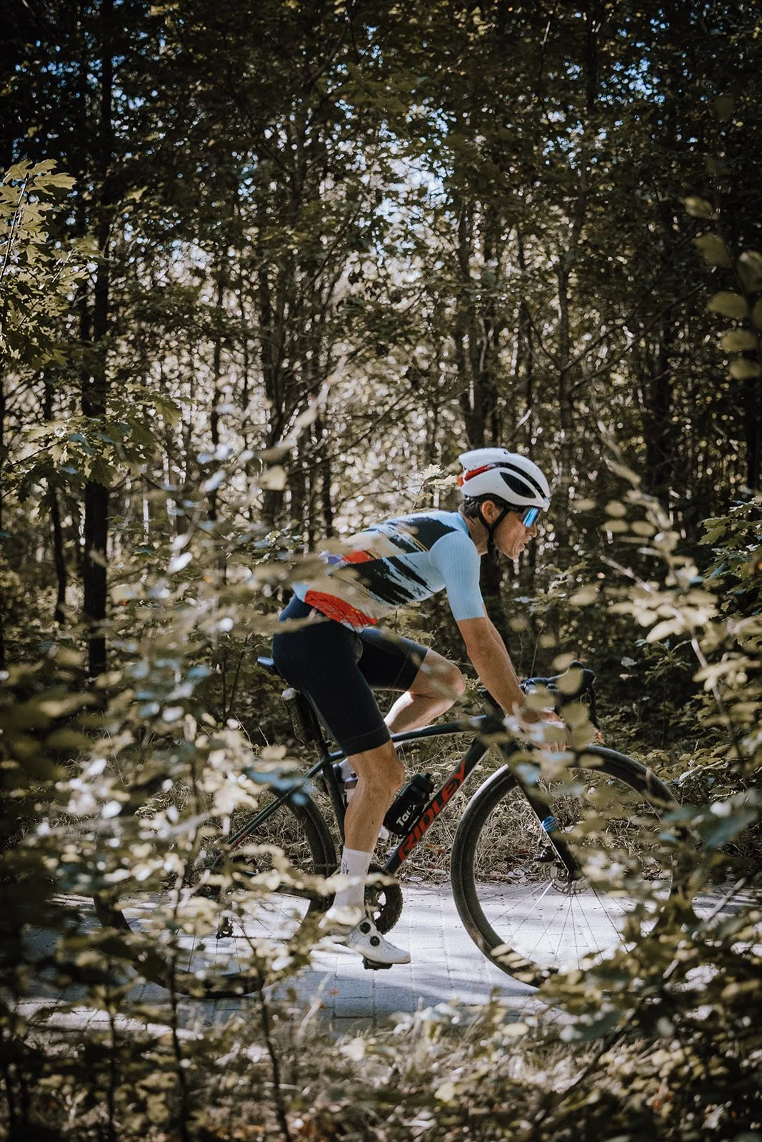 A cyclist riding a bike through a wooded forest trail.