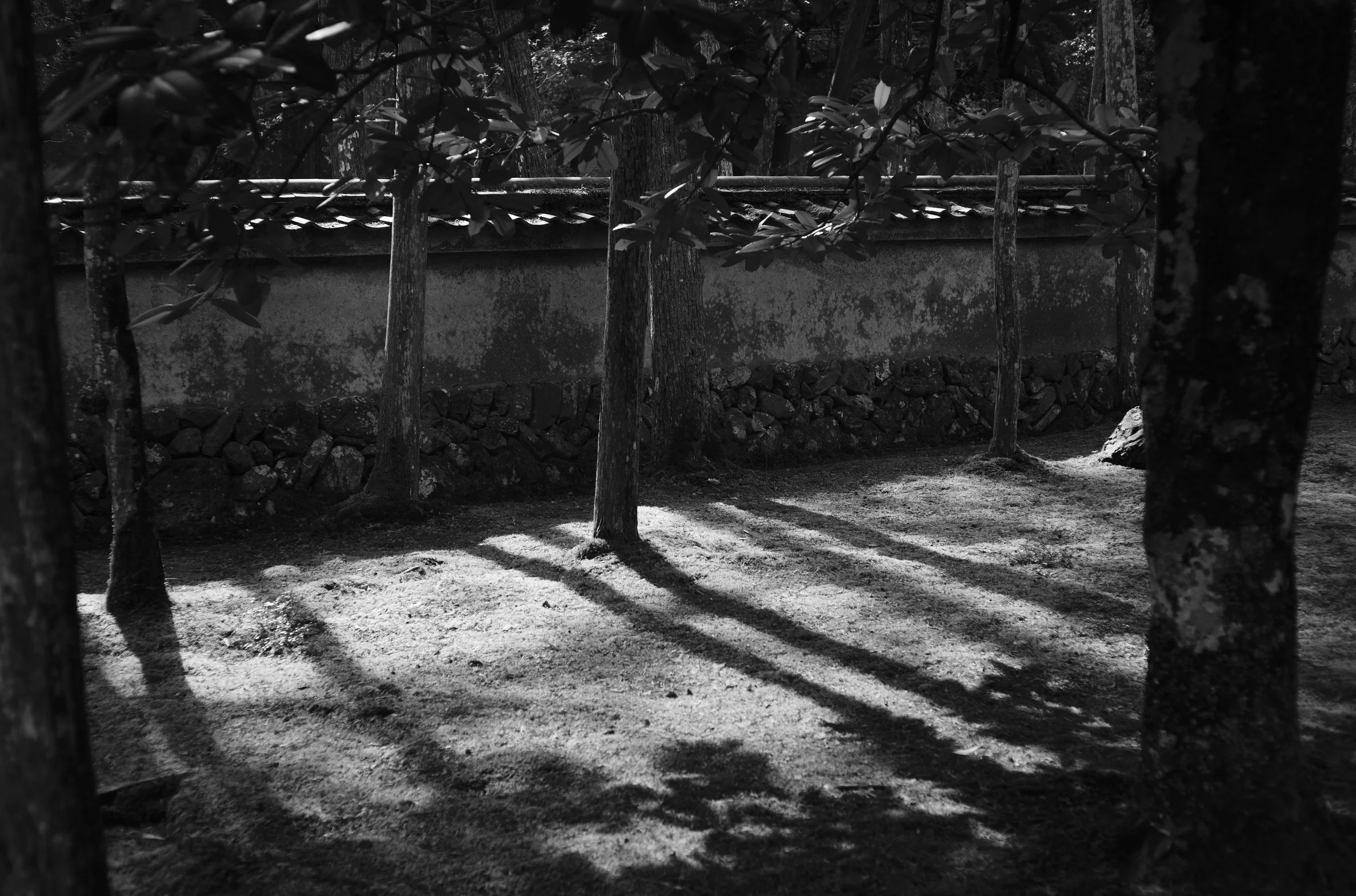 L1004594.jpg