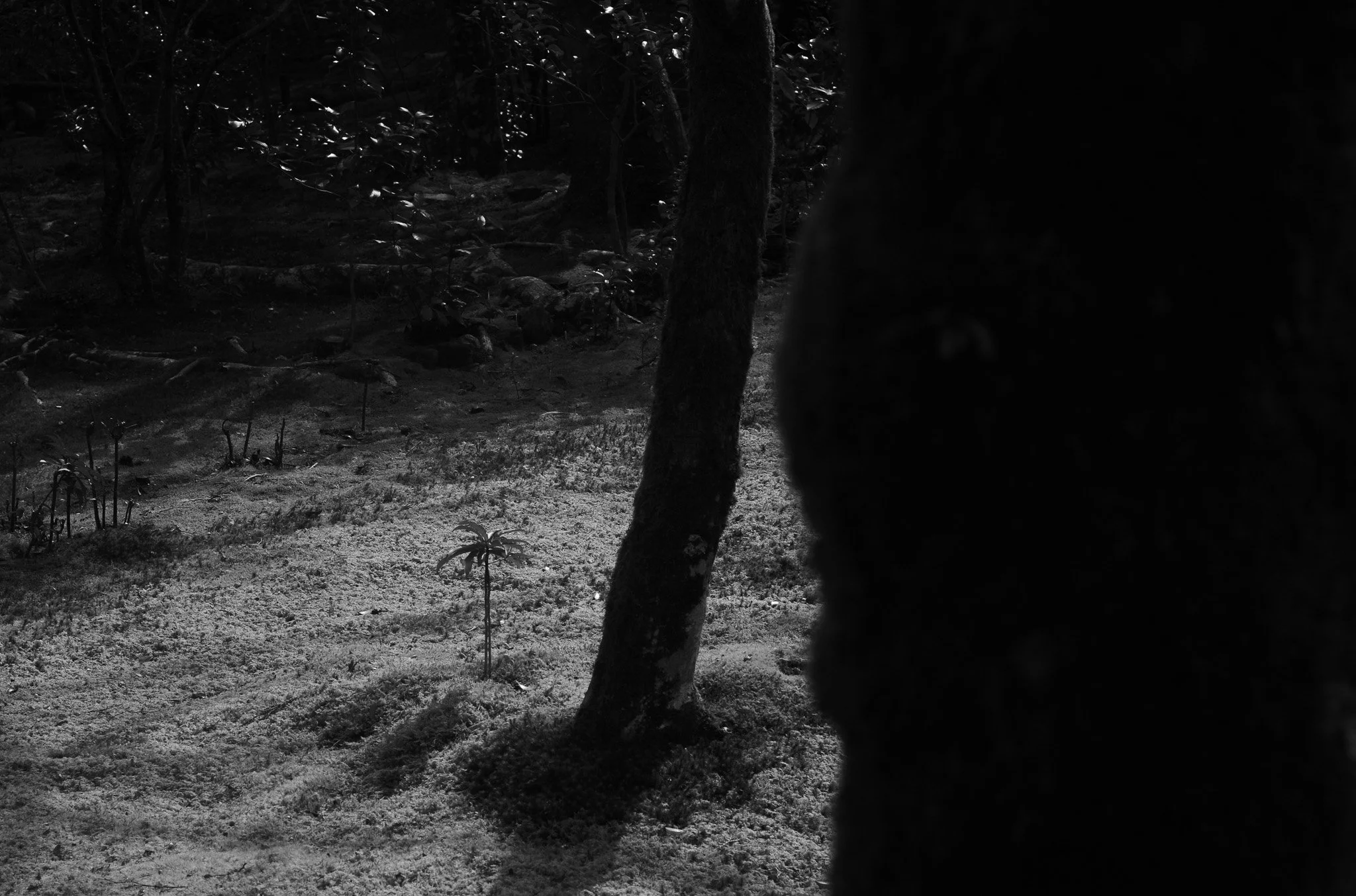 L1004558.jpg