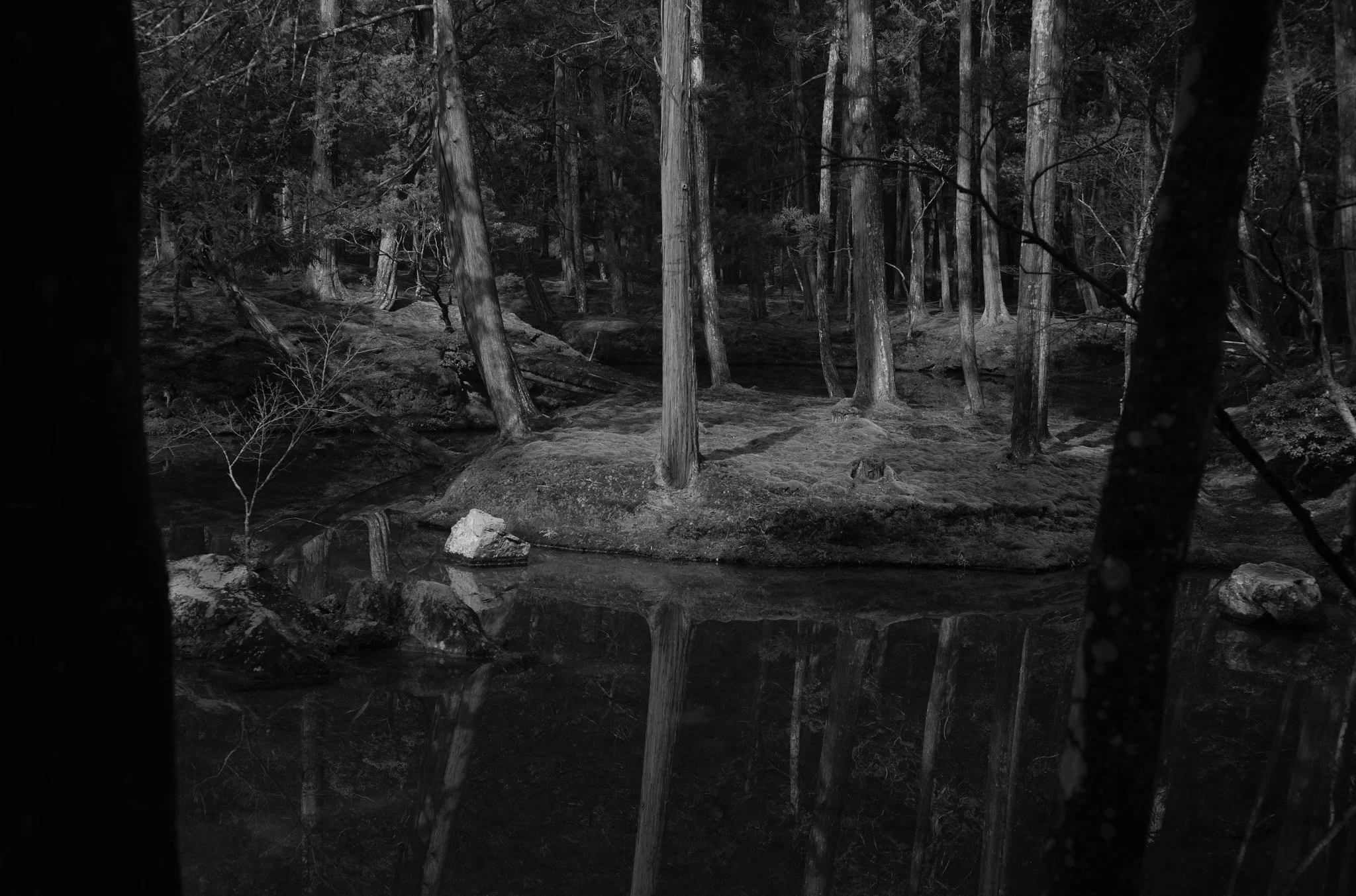 L1004605.jpg
