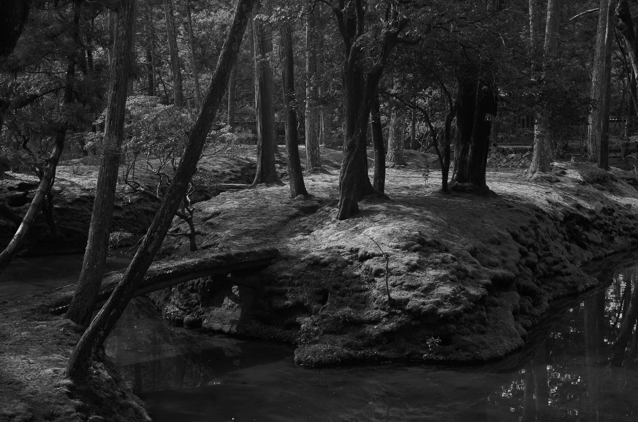 L1004625.jpg