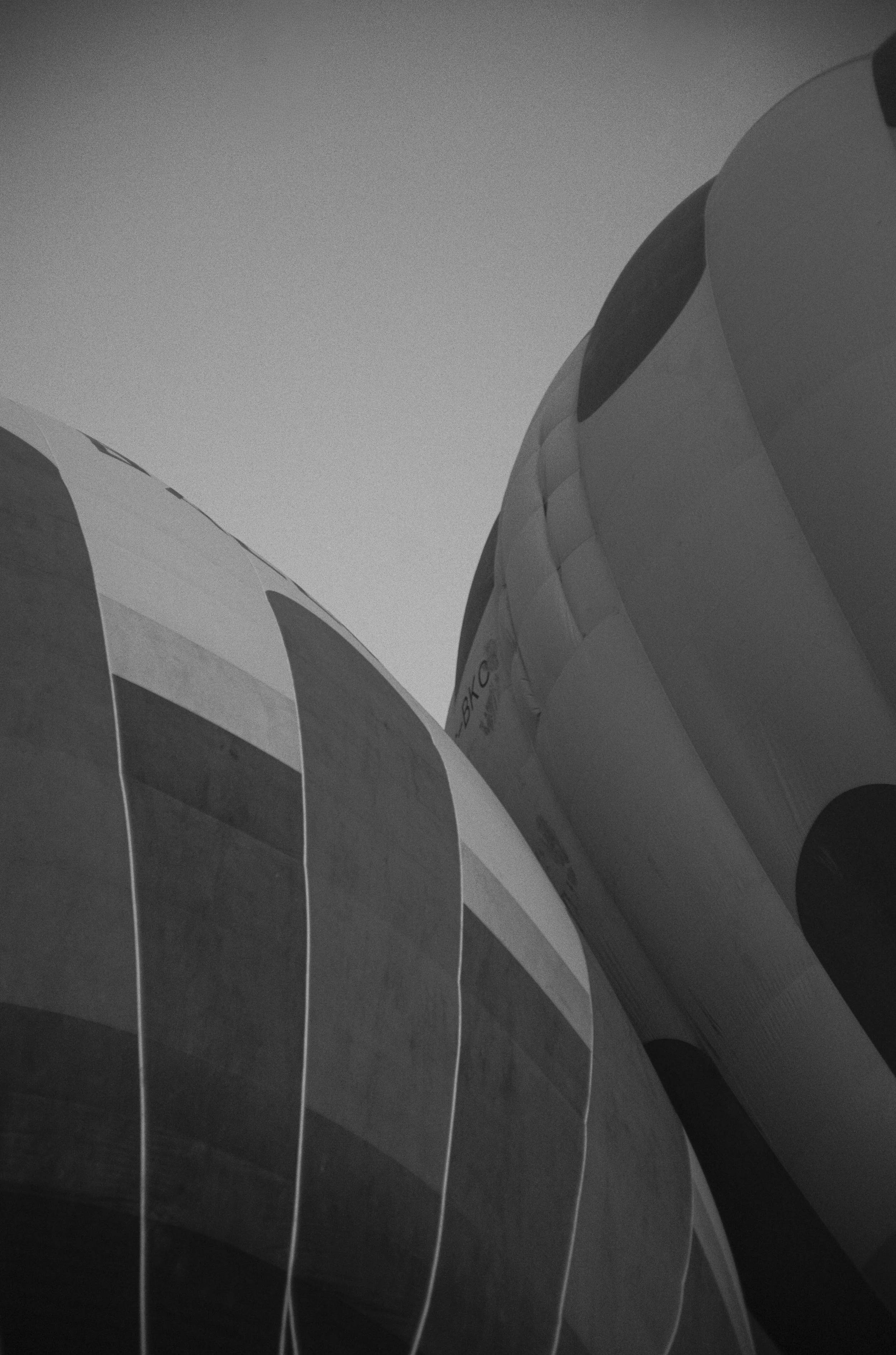 L1008785.jpg