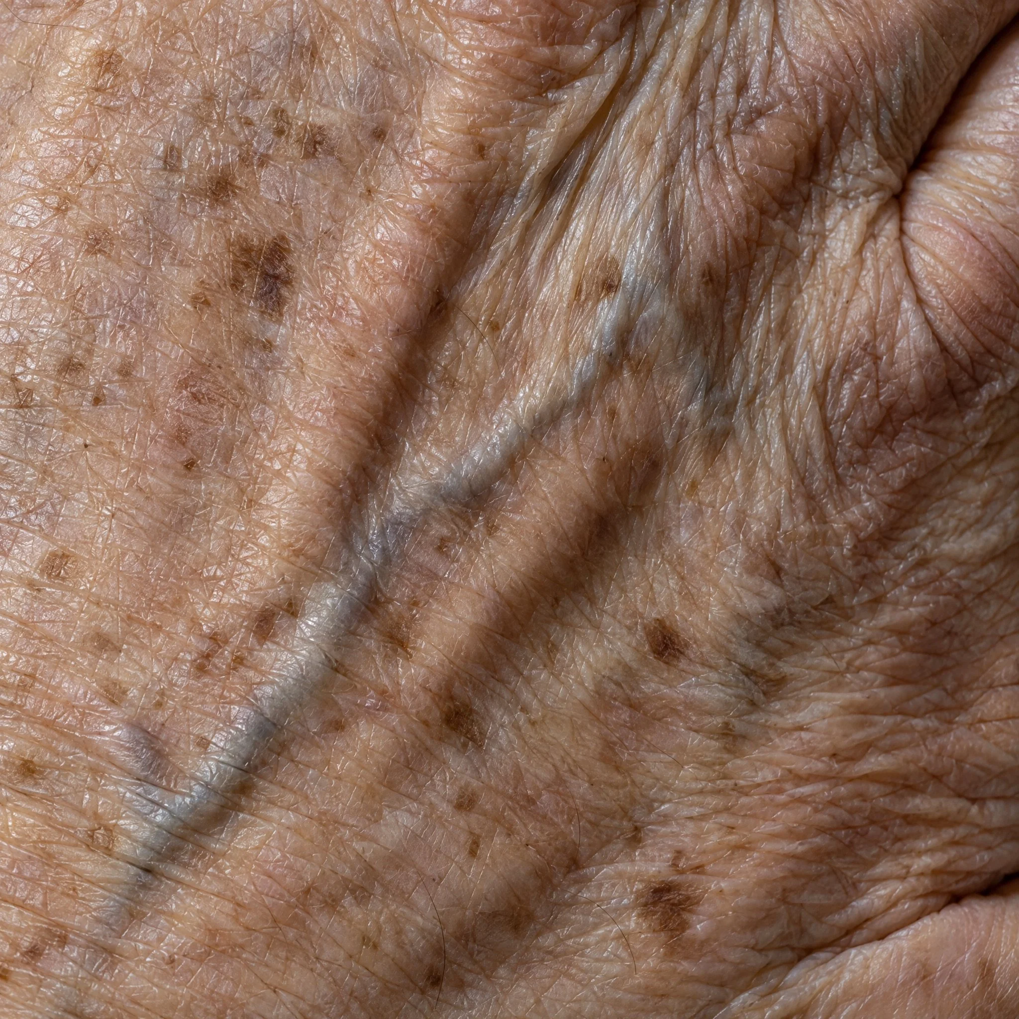 Extreme macro of the wrinkled skin of an aged hand.