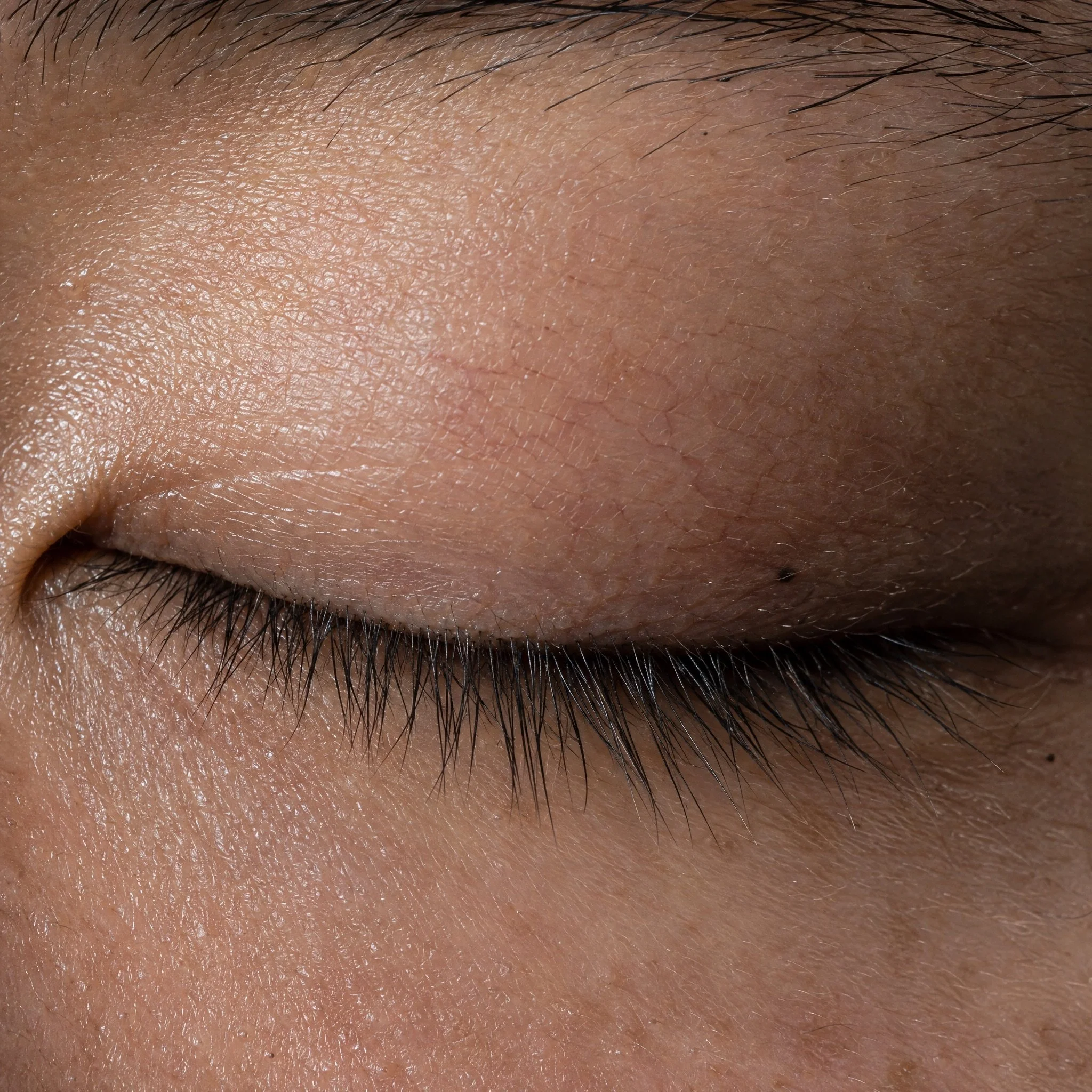 Extreme macro of a closed eyelid and lashes.