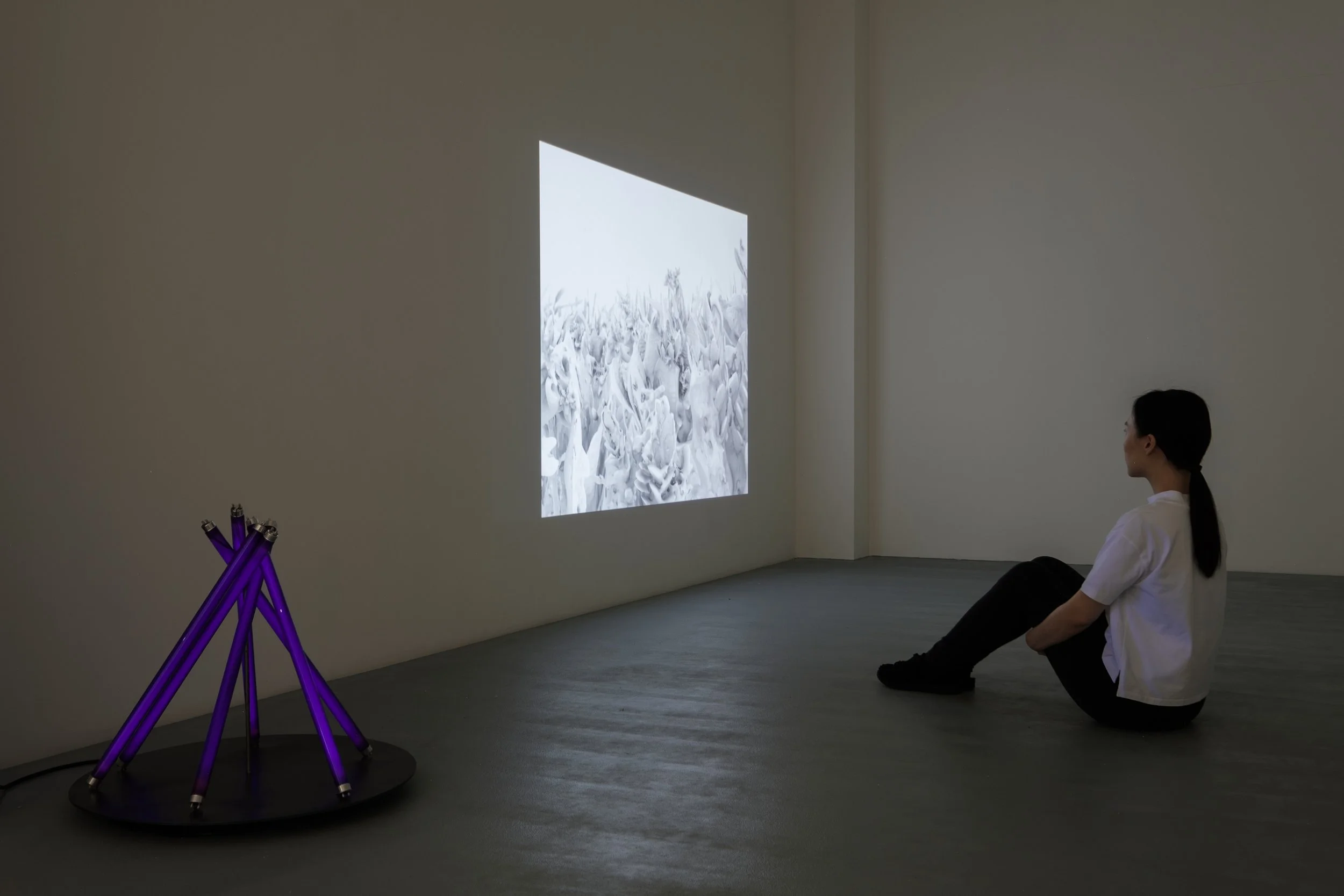 A woman sitting on the floor in a gallery observing a projection of abstract white and gray art on the wall, with a purple and black art piece on the floor nearby.