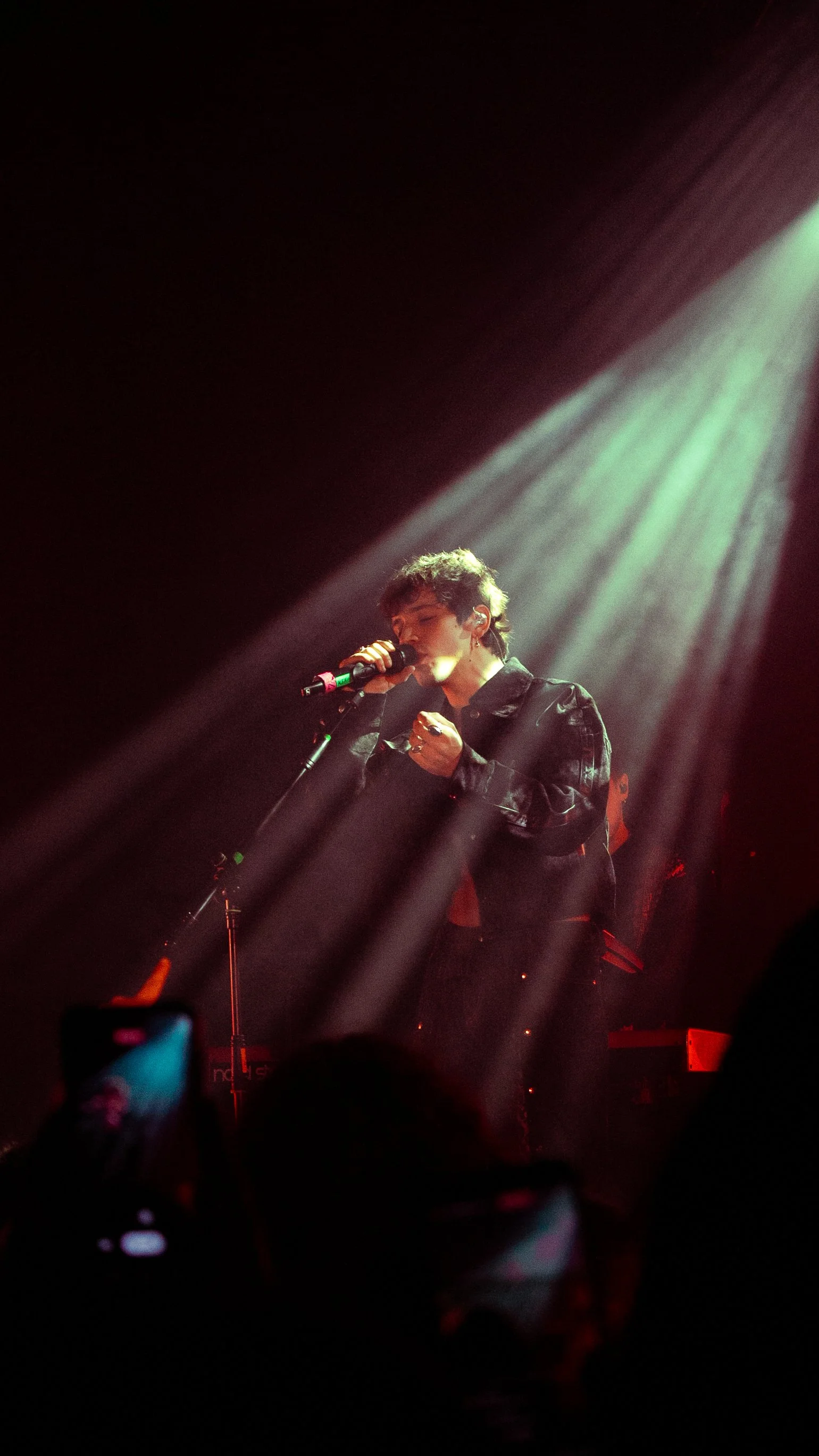 Un artista canta al microfono sul palco con luci verdi e rosa, pubblico in primo piano. Concerto Alex Wyse