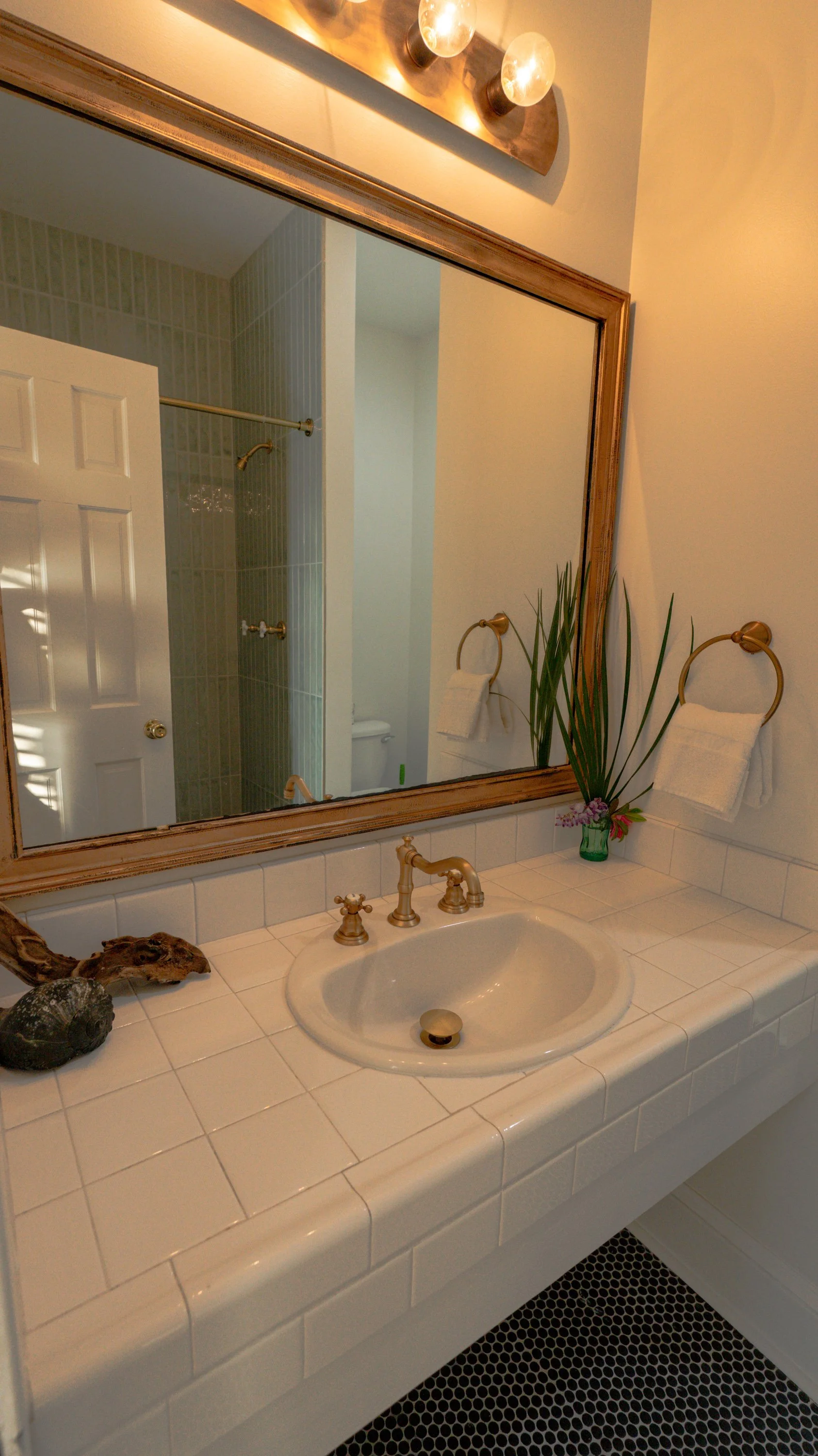 Albatrosse suite detail