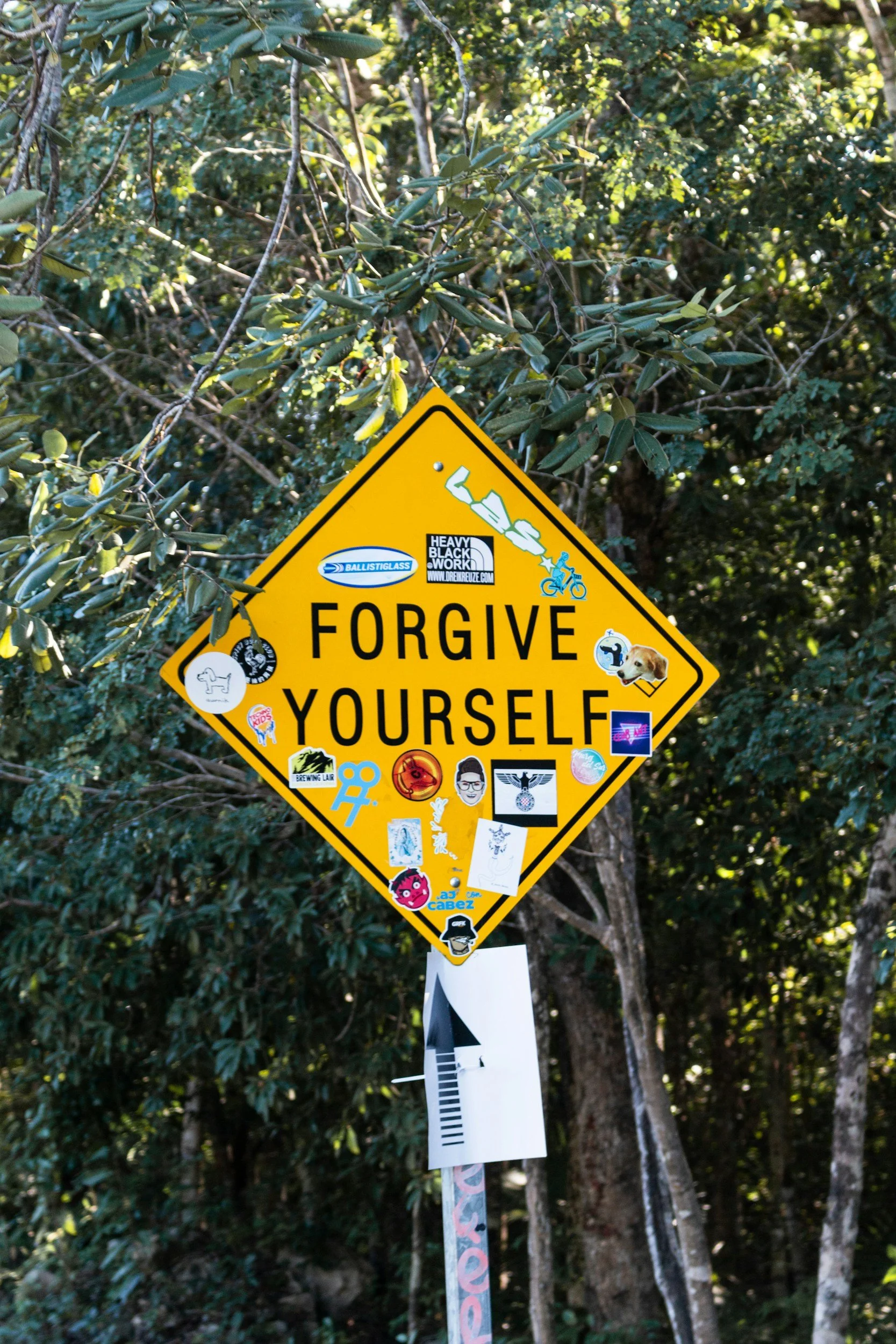 Day 17: What Do I Wish I Could Forgive Myself For? What Makes It Hard?
