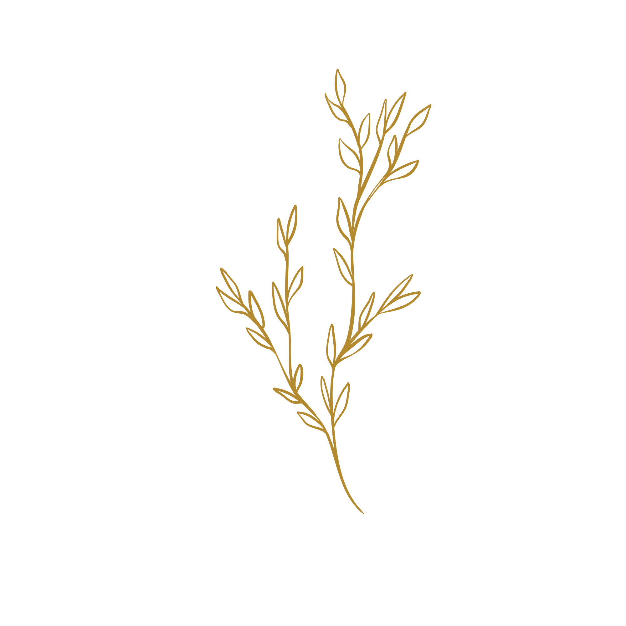 A minimalist line drawing of a branch with several leaves in a gold hue on a black background.
