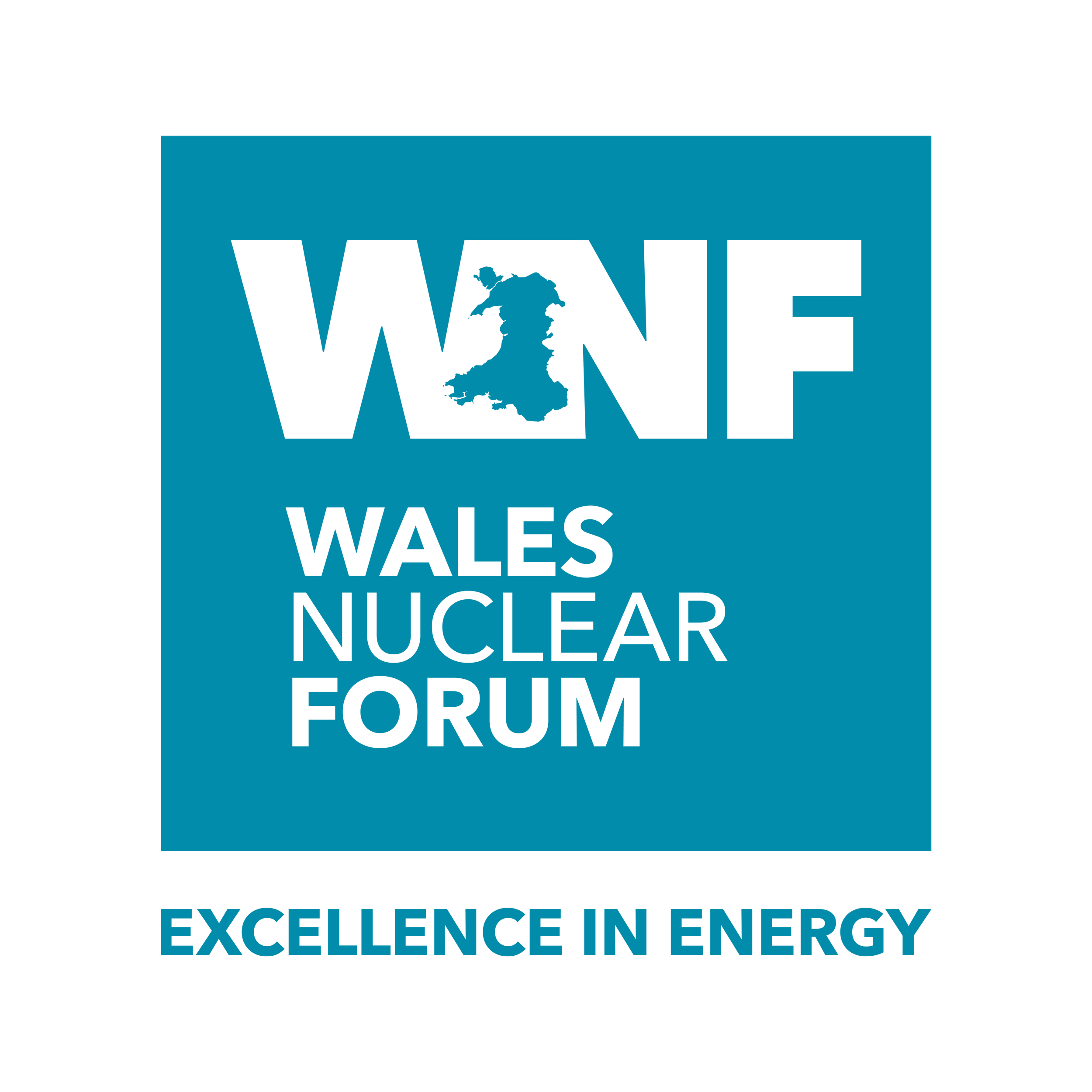 Logo of the Wales Nuclear Forum with a blue background, black text, and an outline of Wales in the center. Tagline: 'Excellence in Energy'.