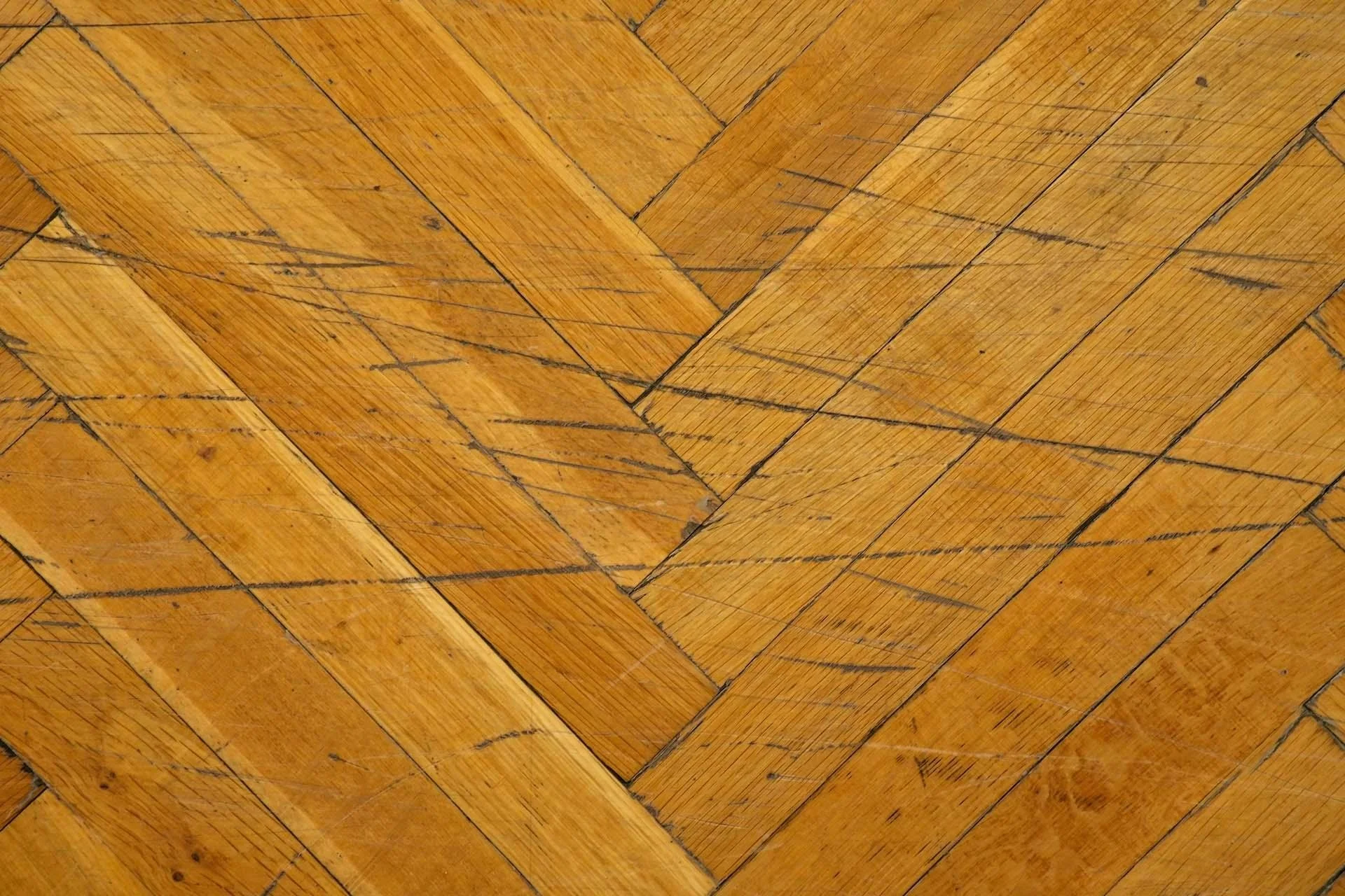 dSaXxaYoOiYKPOUxQFoxhPlEE0cJaFSVy1xKUs8AtXIEoiklSXMFh3ZeHnZFeZdMywvRV1UW87TN0z7Lg0kmyrNpgh1zGyd0zCeHMNb9IyTx8NRPrRF0uV8QO21ixnnp23YjJYoxALKGy1AHNtq2YxkT1Djq09DMftC-guCH8VBI53y9InewR5FL3XtelI0O.jpg