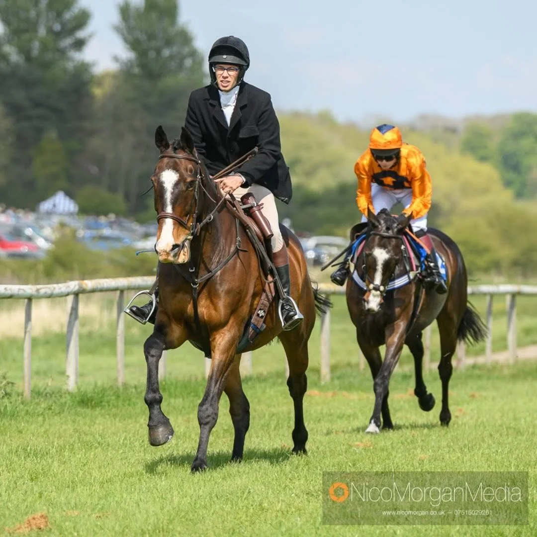 horse catching at the point to point leicestershire 
