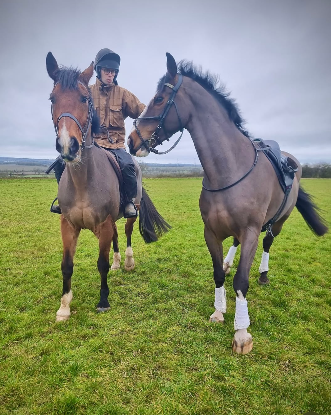tally ho transport