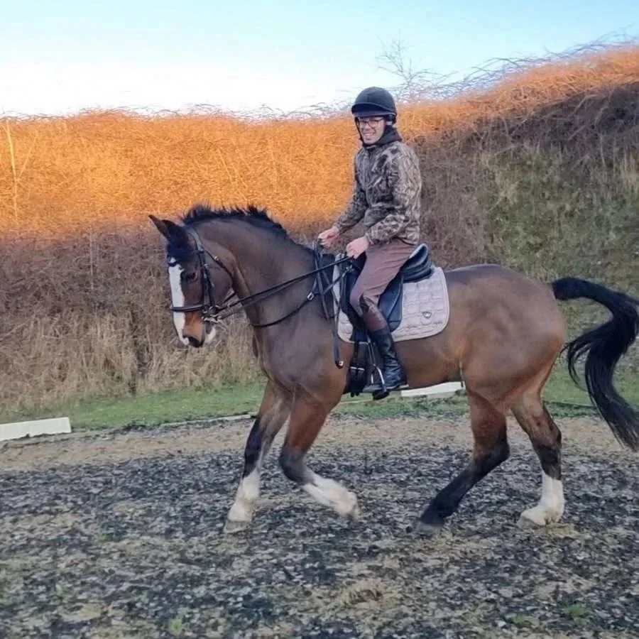 schooling 