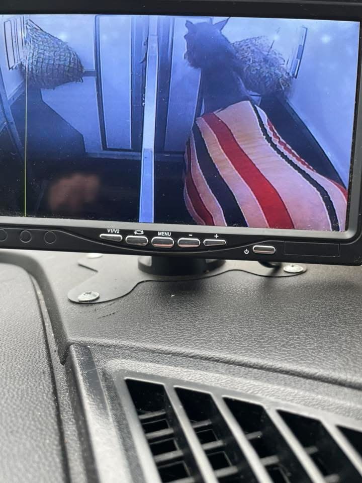 onboard horse lorry  cctv