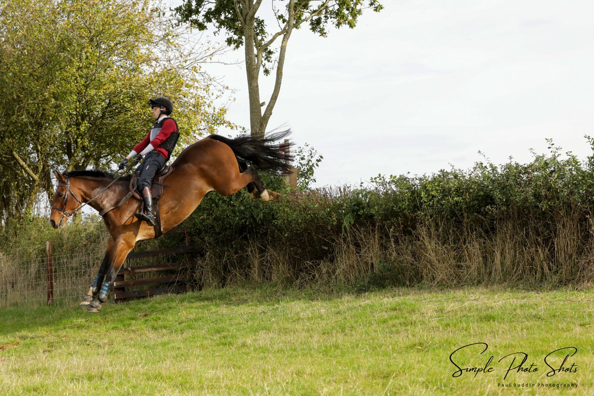 tally-ho sport horses , grafton team chase 