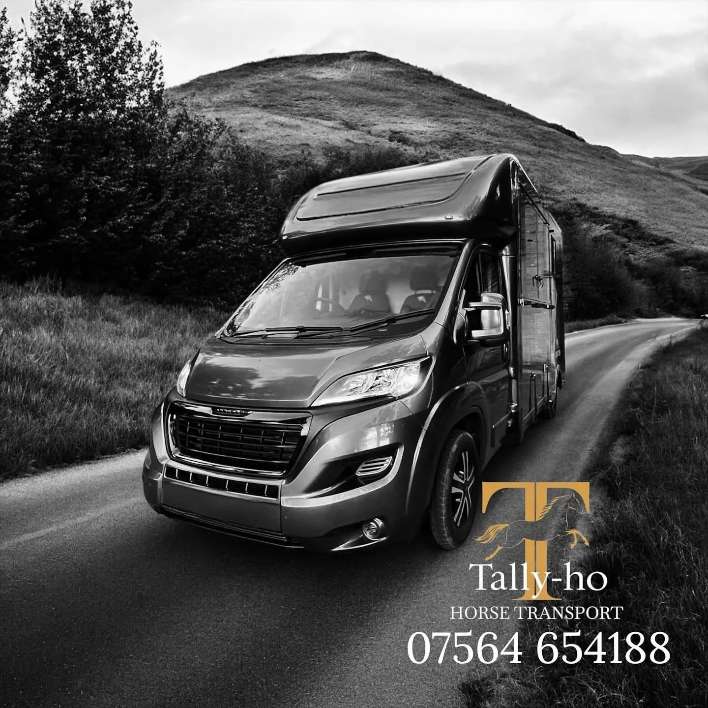 A black-and-white image of a modern horse transport truck on a winding rural road, surrounded by grassy fields and hills, with a cloudy sky in the background. The truck advertises "Tally-ho Horse Transport" with a phone number.