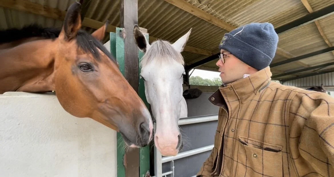 tally-ho sport horses 