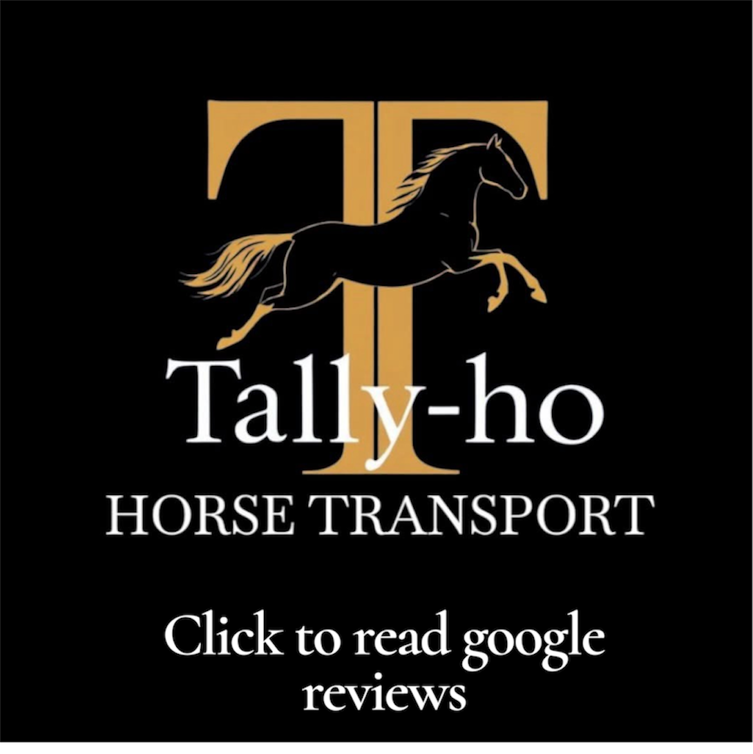 Logos for Tally-ho Horse Transport featuring a black horse jumping over a golden T shape on a black background with the company name and call to action.