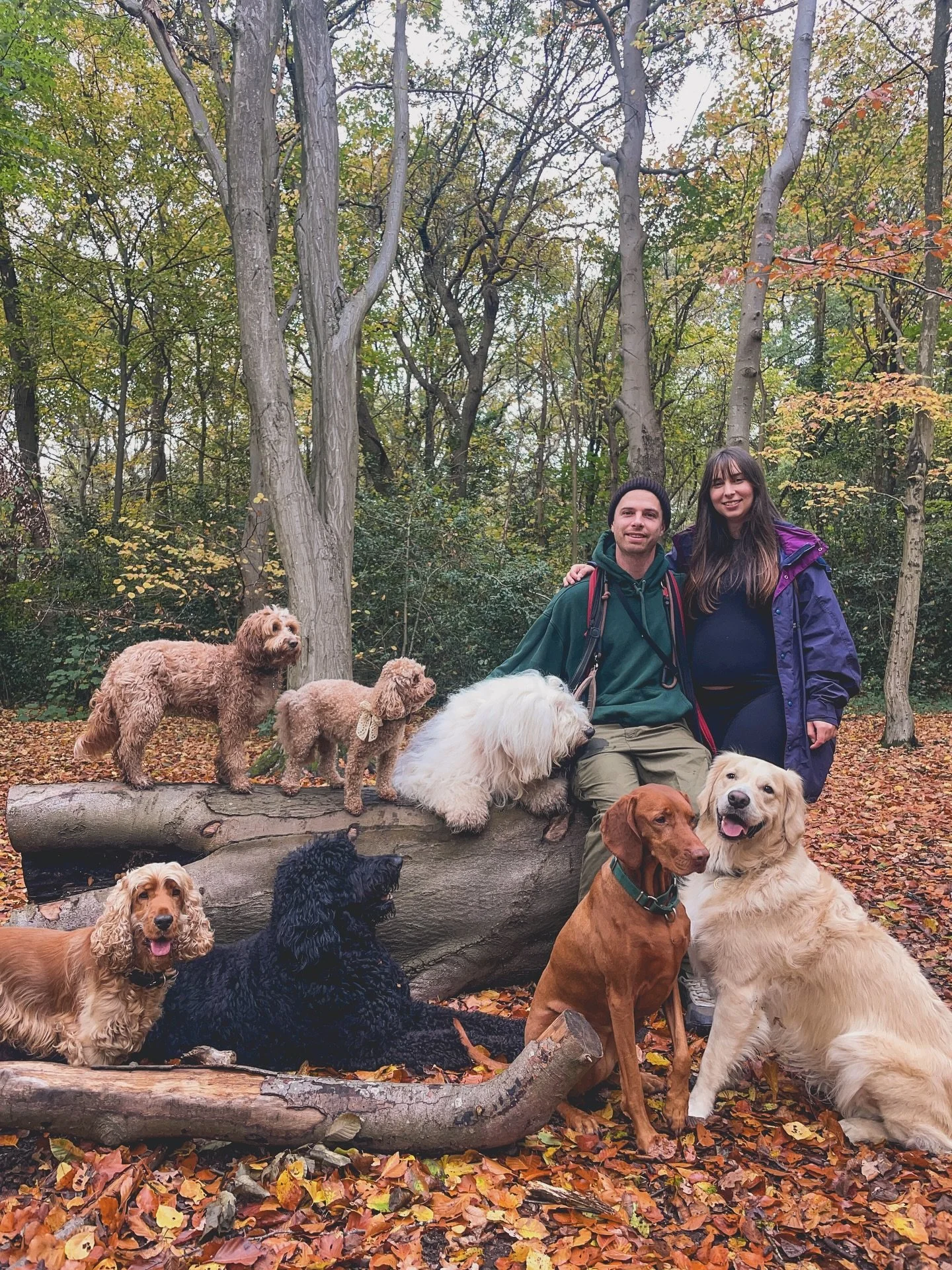 Another beautiful walk with some of the gang 🐾
Trying to soak up every moment with these wonderful pups before our next chapter begins 💚