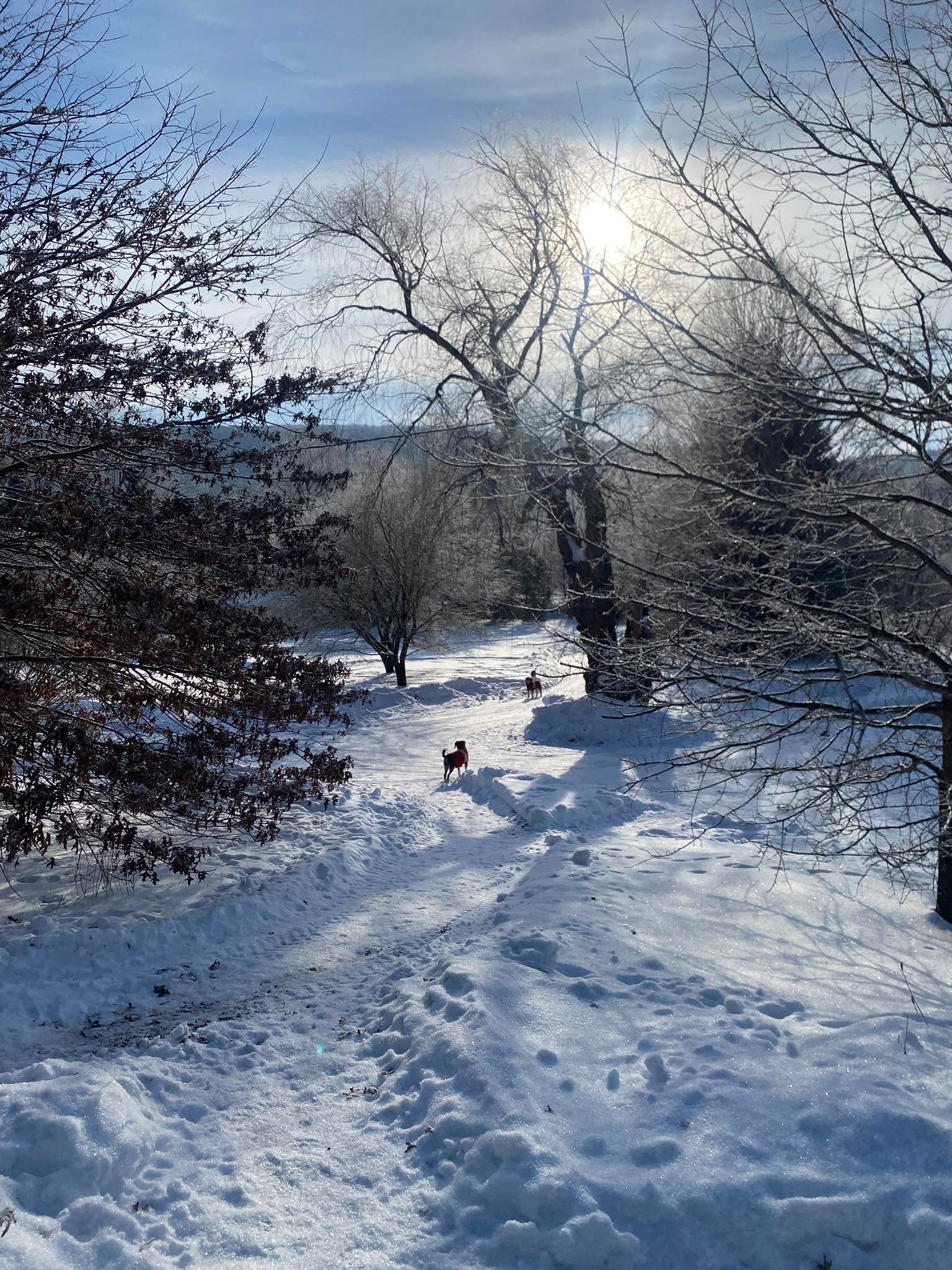 If it wasn&rsquo;t so cold, it would be beautiful ❄️