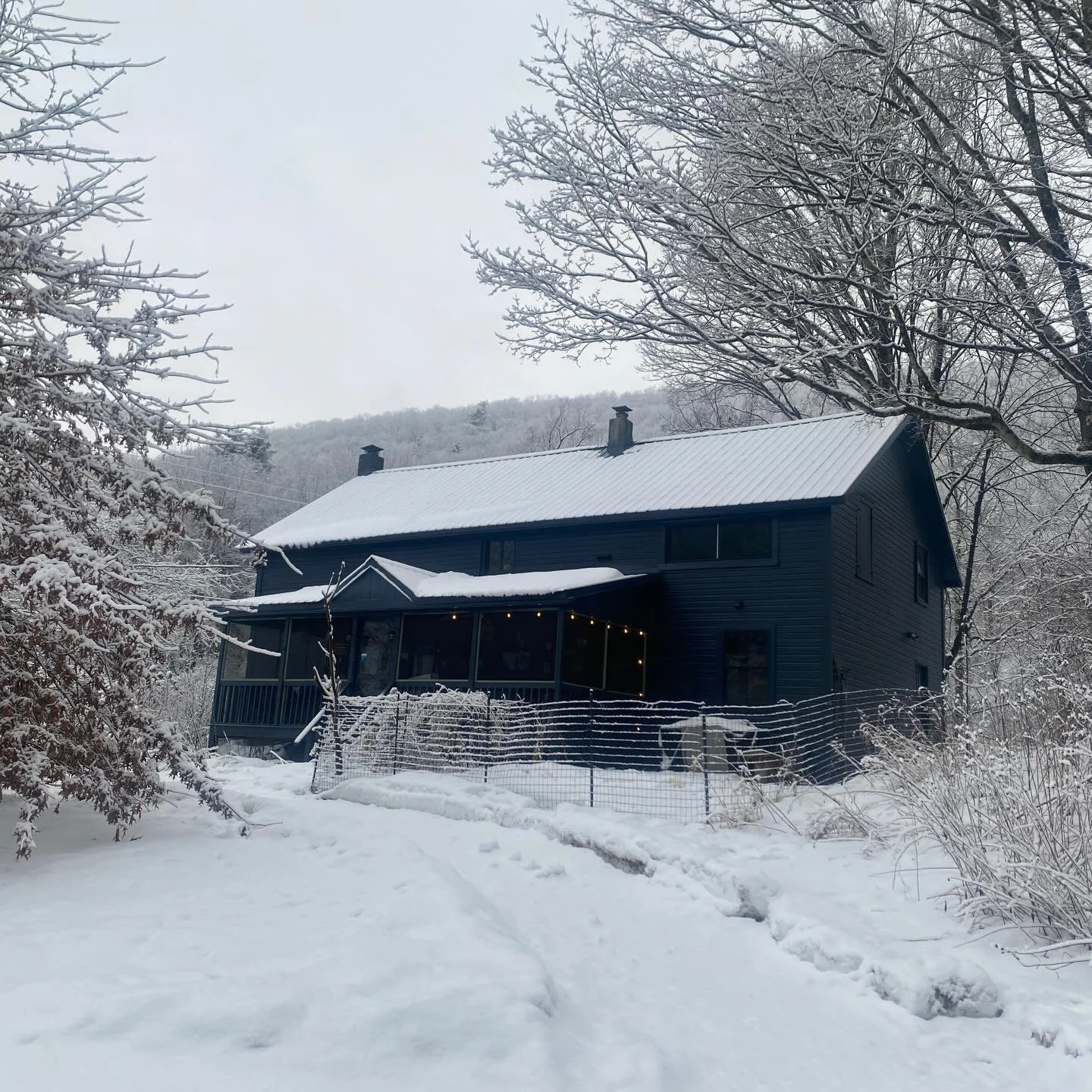 Home sweet home 🏡 my blueberry paradise 🫐