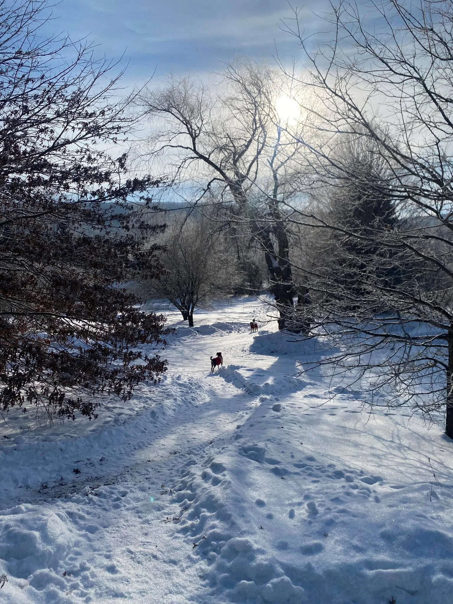 If it wasn&rsquo;t so cold, it would be beautiful ❄️