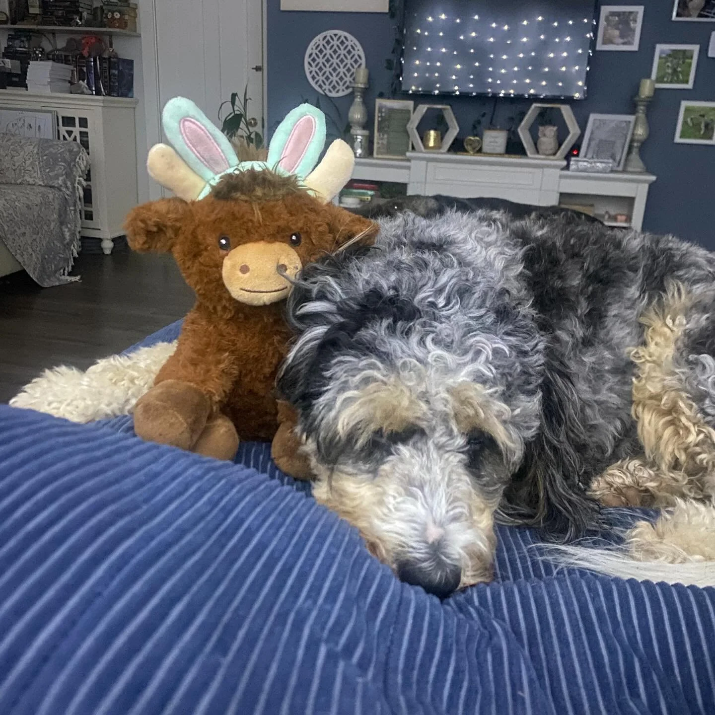 After an amazing 2 day class on Leverage&hellip; Sofia enlisted the help of her cow to watch mommy at all times so she can&rsquo;t leave for 2 days anymore 🤣 stay tuned for all the amazing things we learned from @the_real_melaniek
