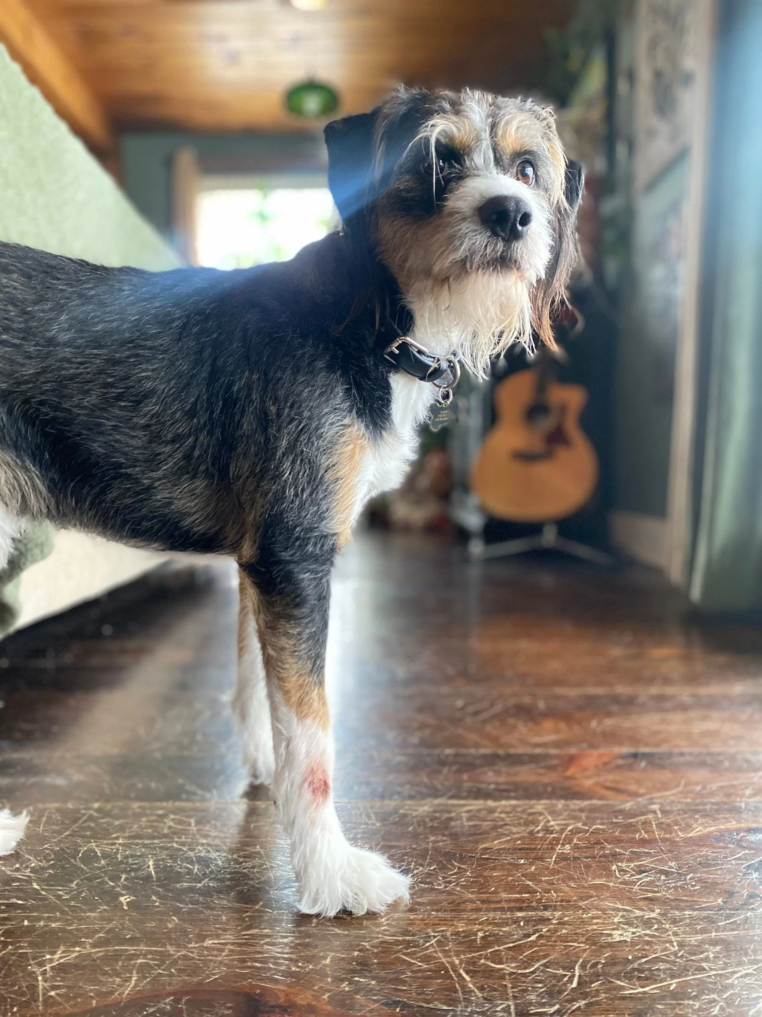 Happy 3rd Birthday my loves ❤️ you are my joy, my life, my everything and the love you bring to our home is the greatest gift we could ever have! Grateful for you both, no words can express the feeling in my heart, you deserve everything you want ❤️ 