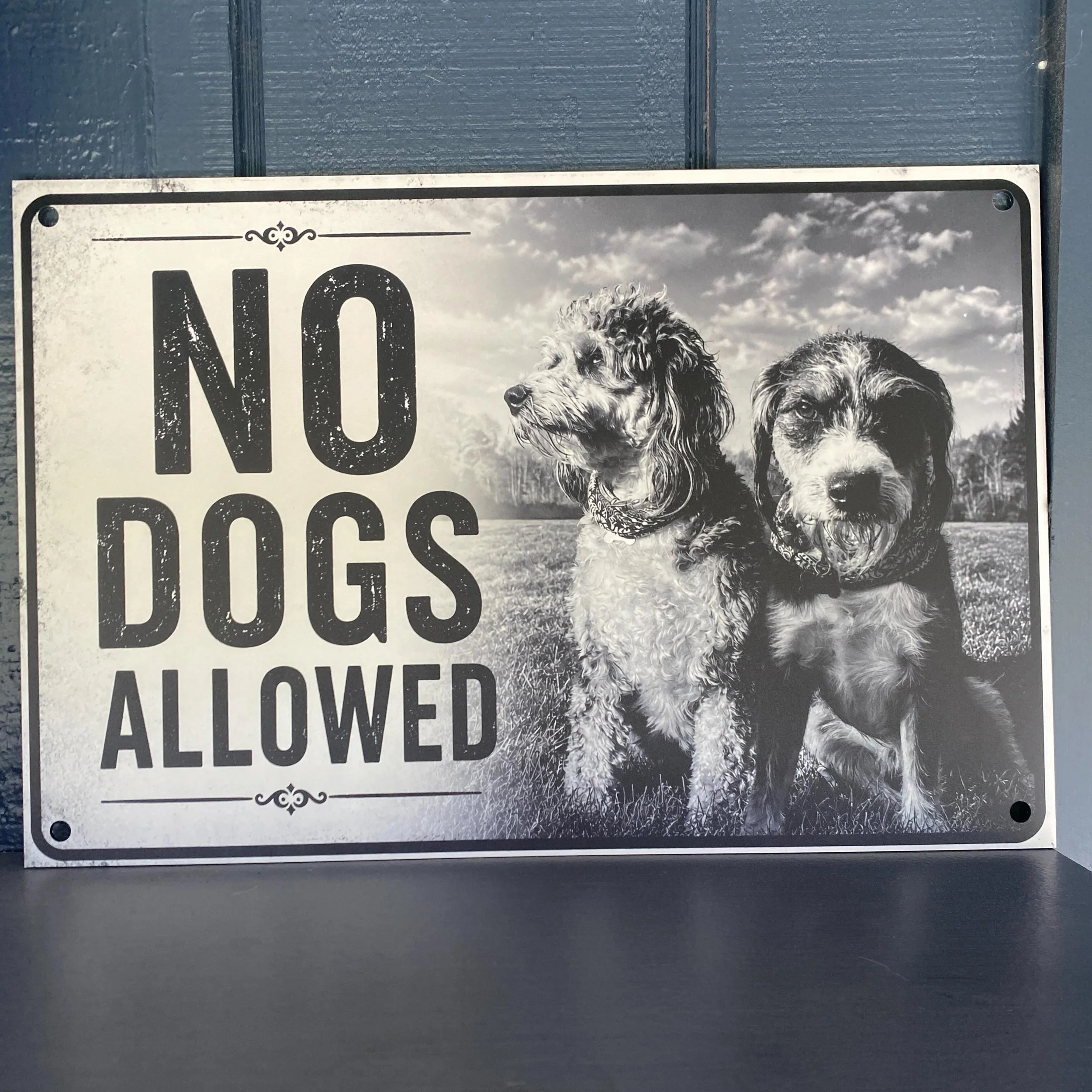Joe got me this sign for the garden, and it&rsquo;s freaking amazing and I love it so much! Look at my babies, they look like such rebels! With their bandannas lol