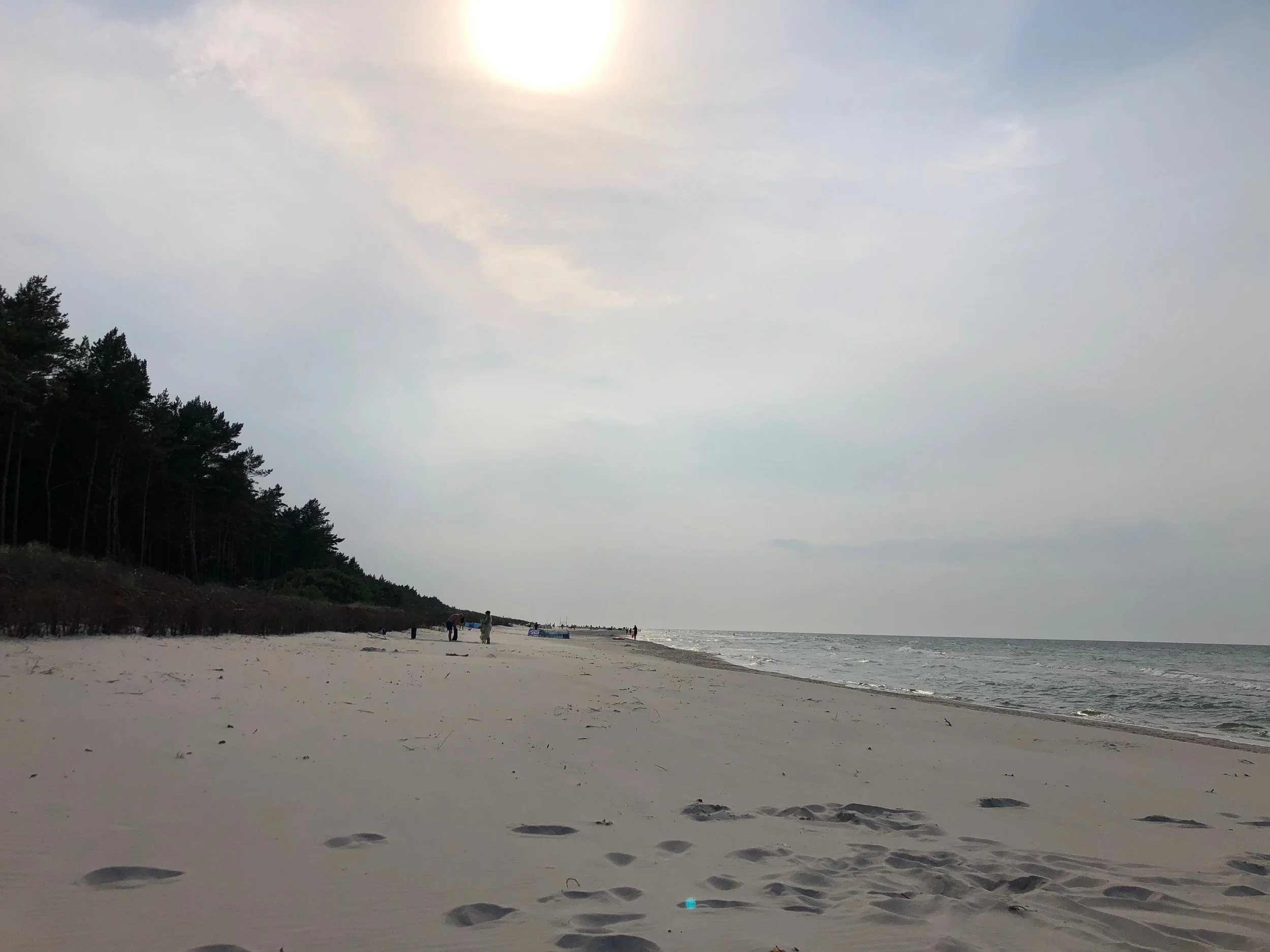 IMG_1437.jpeg