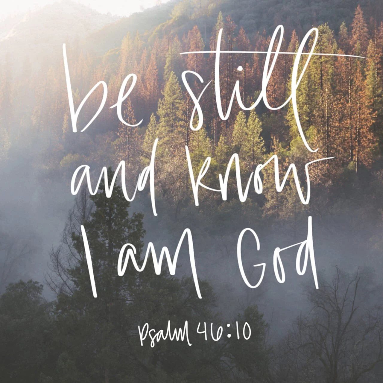 Inspirational quote: 'Be still and Know I am God' from Psalm 46:10, written over a scenic background of a misty forest with trees and mountains.