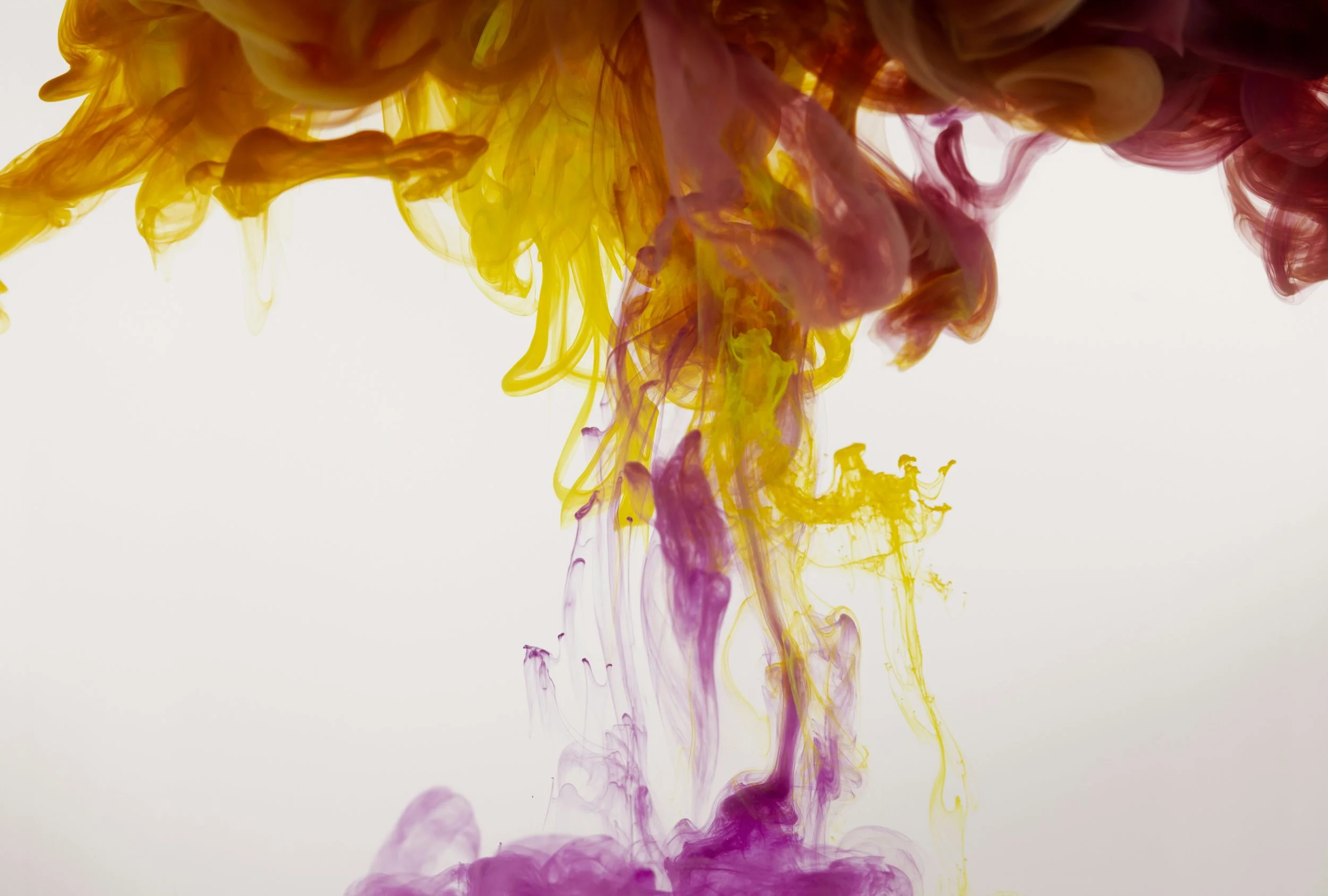 Yellow, purple, and red ink swirling in water against a white background.