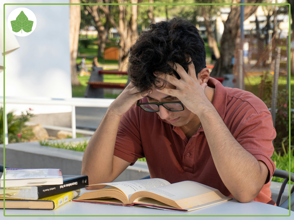 The State of Teen Reading 2026
