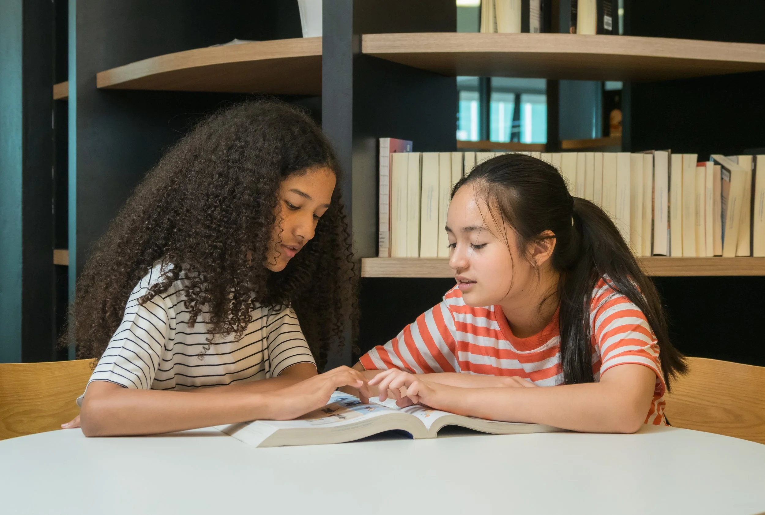 Reading Mini Lesson Library — Zinc Learning Labs