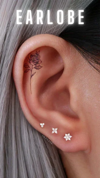 Lobes