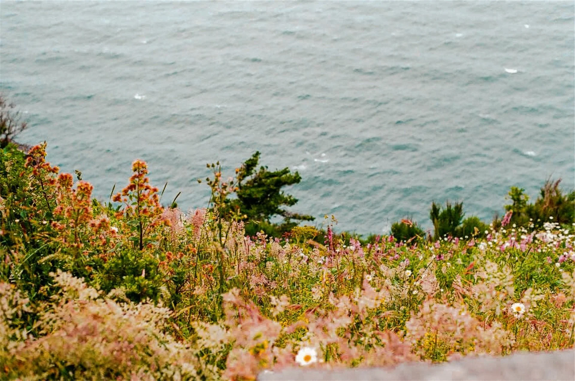 Highway 101 OR, 2022