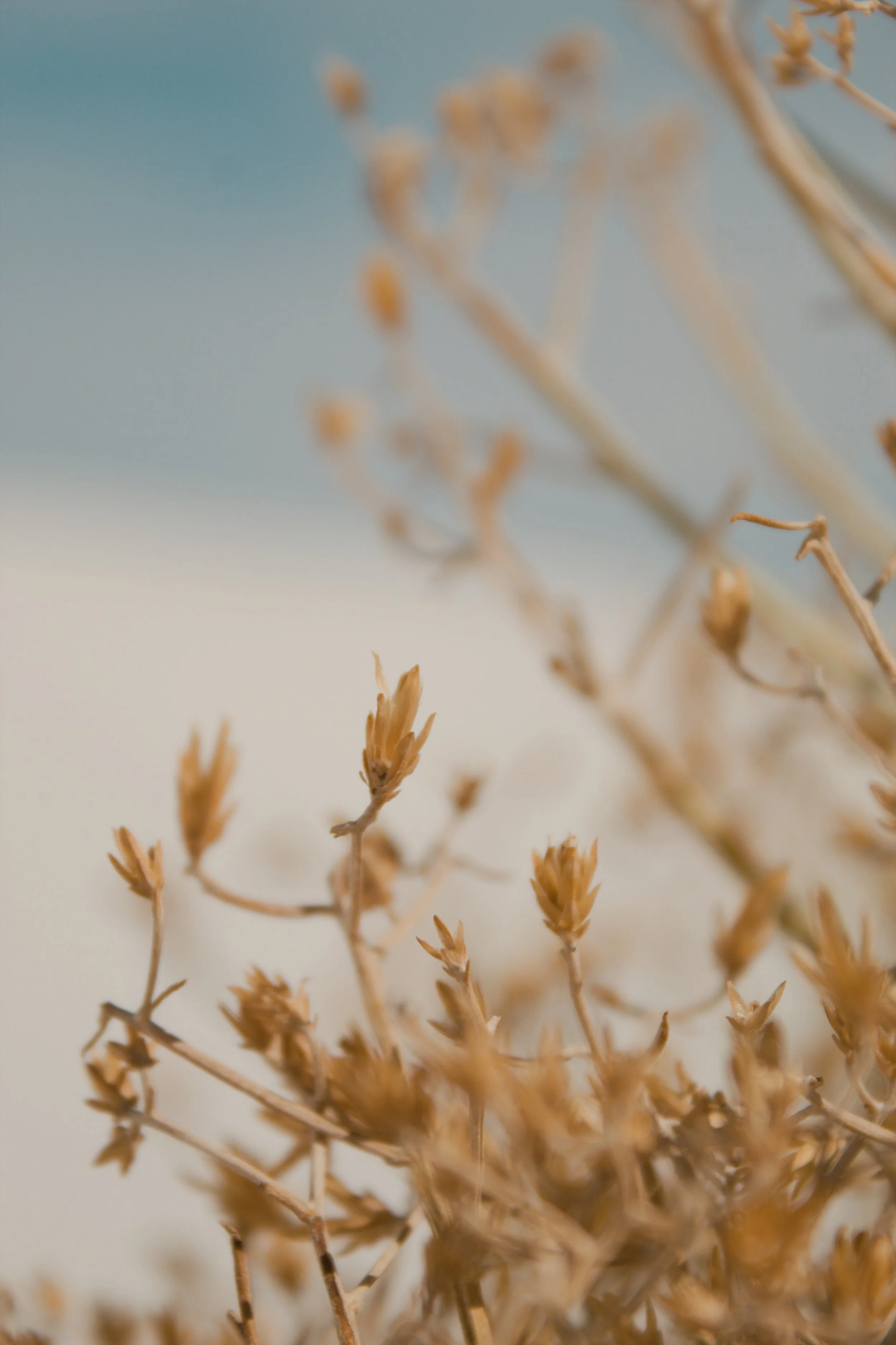 White Sands National Park NM, 2024