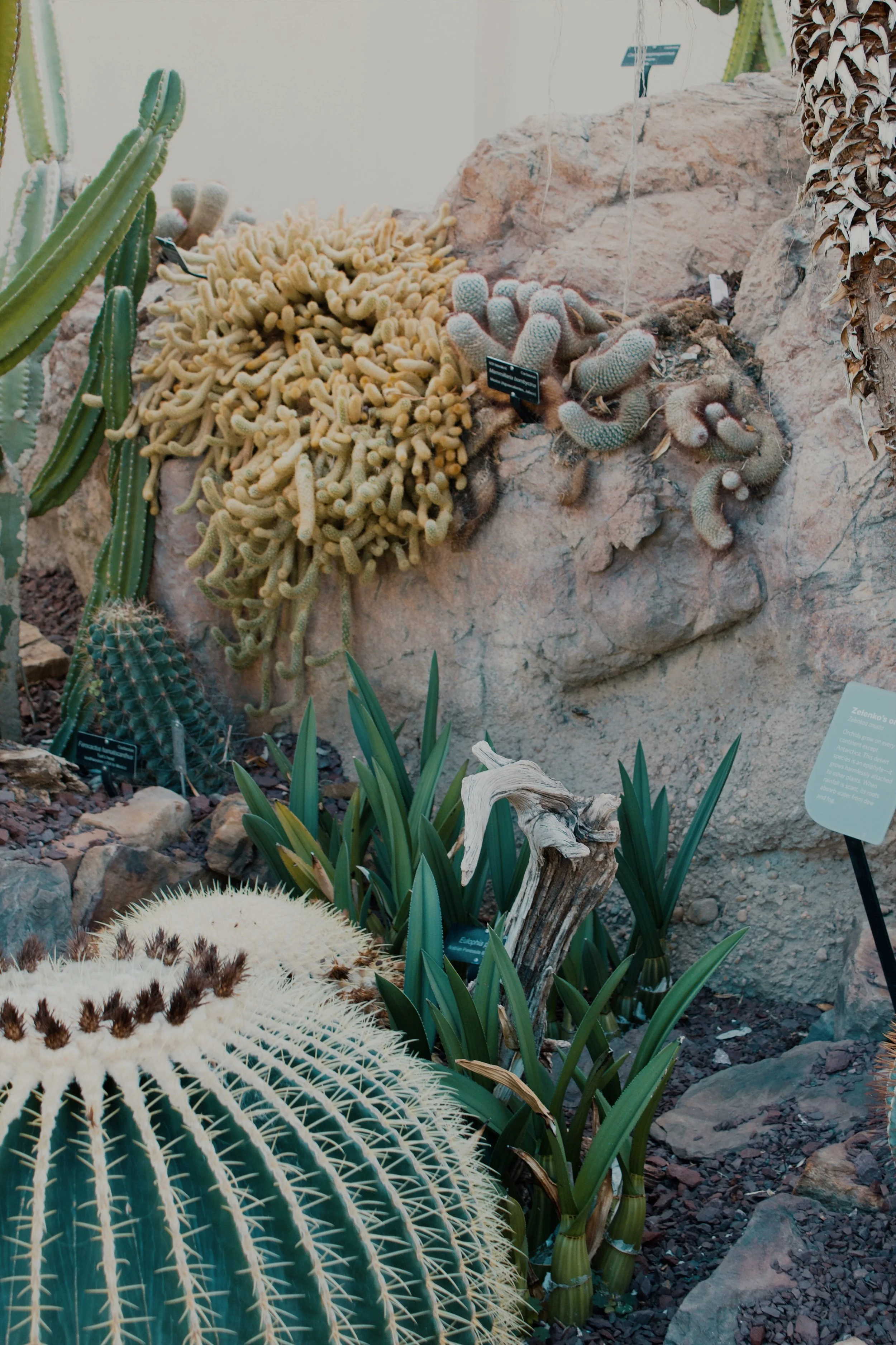 United States Botanic Garden MD, 2024