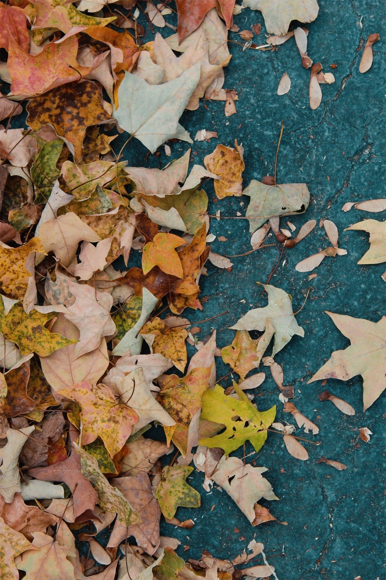 Hollywood Cemetery Richmond VA, 2025