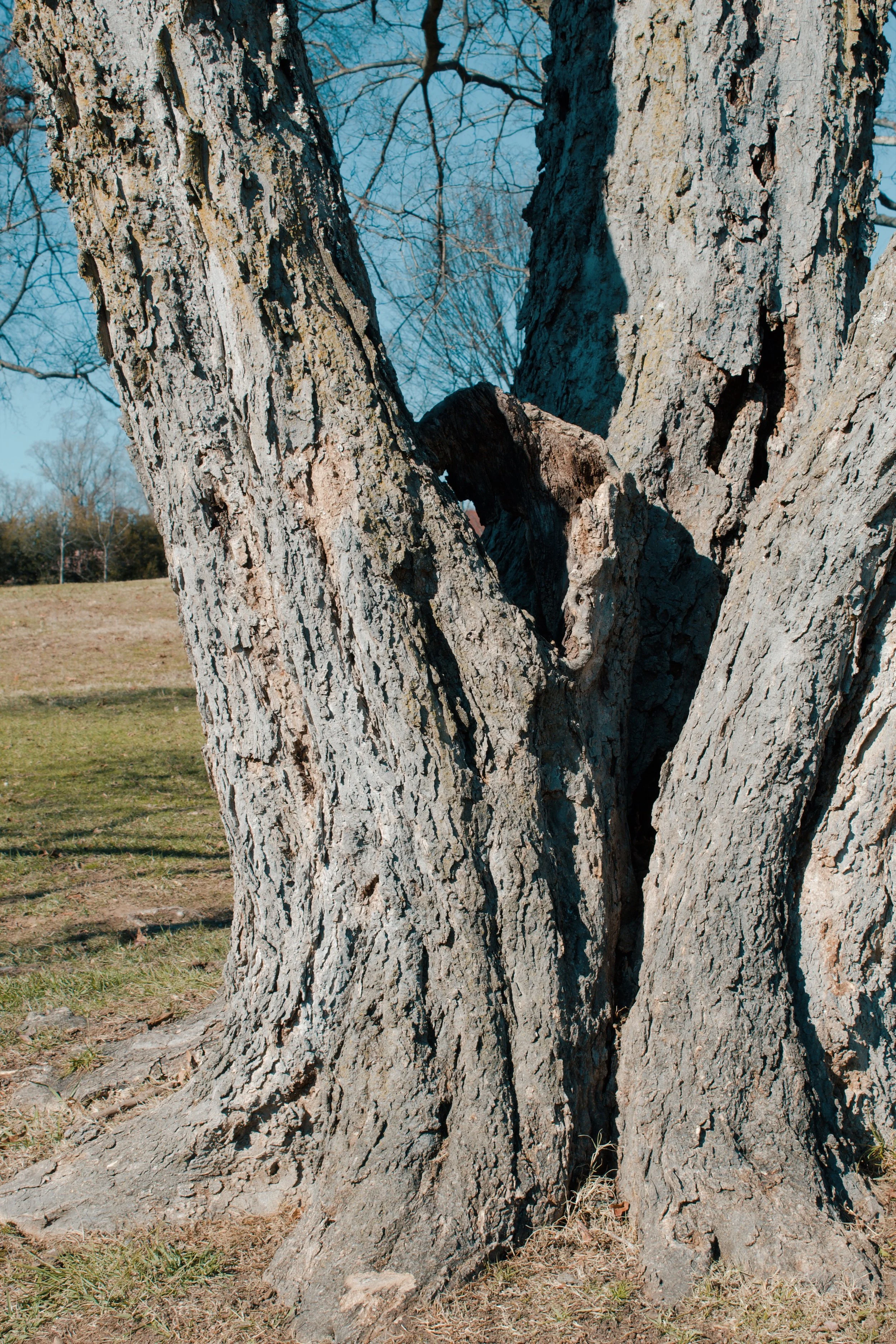 Maymont Richmond VA, 2024