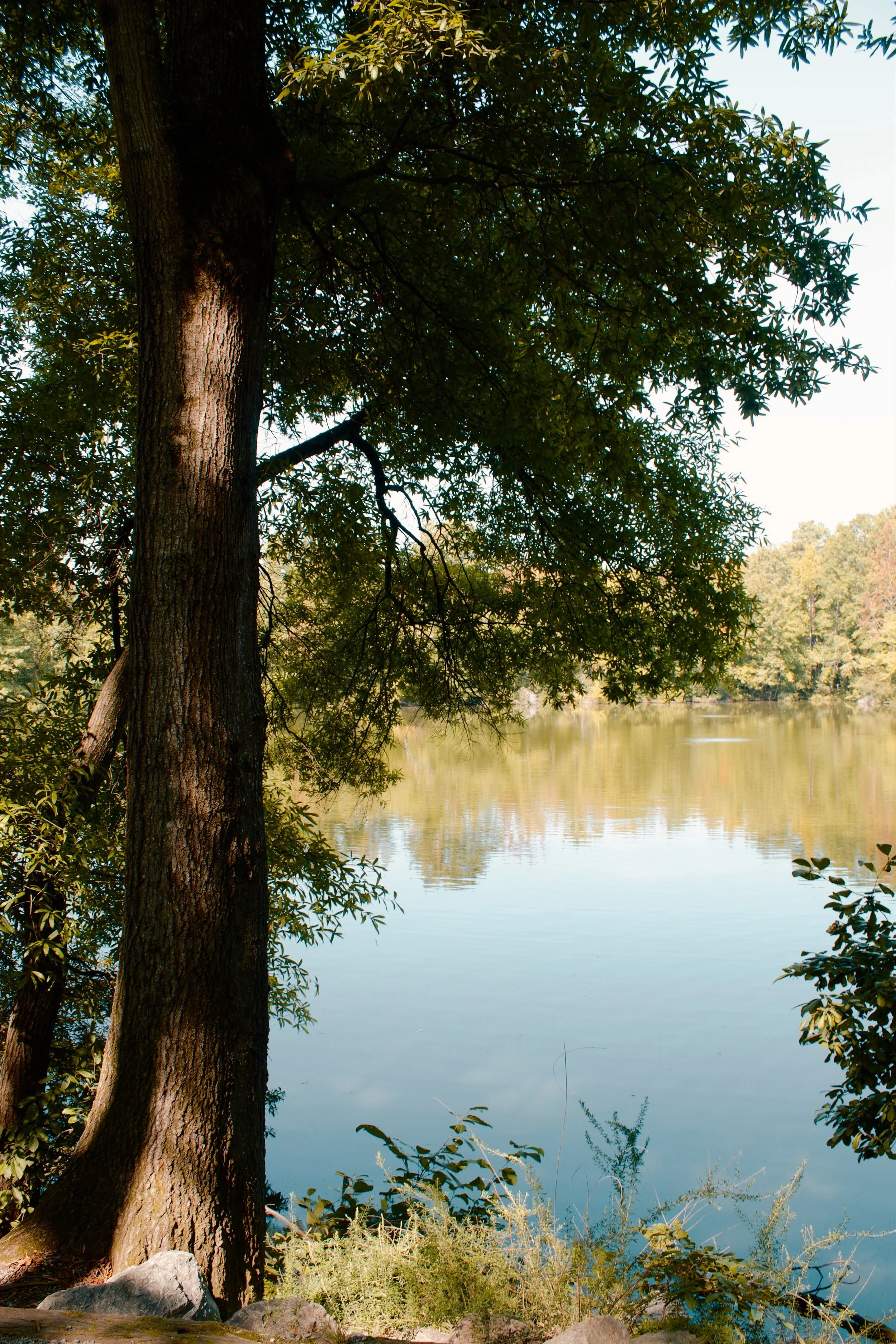 Three Lakes Park VA, 2024