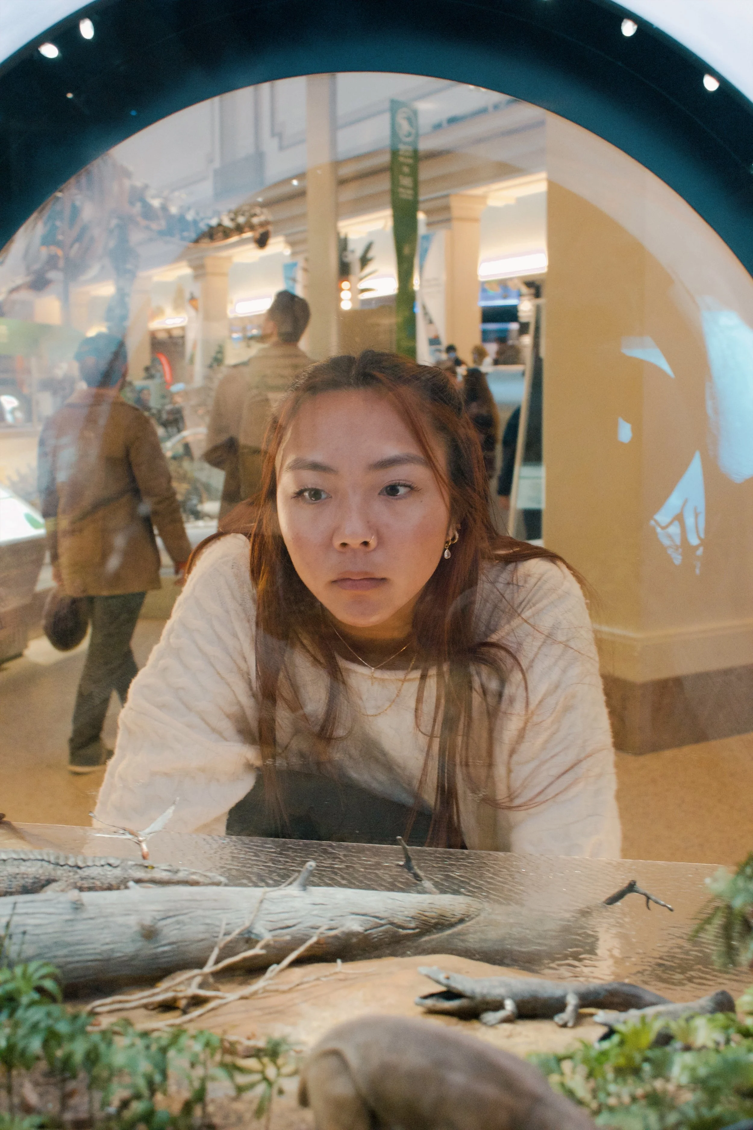 National Museum of Natural History MD, 2024