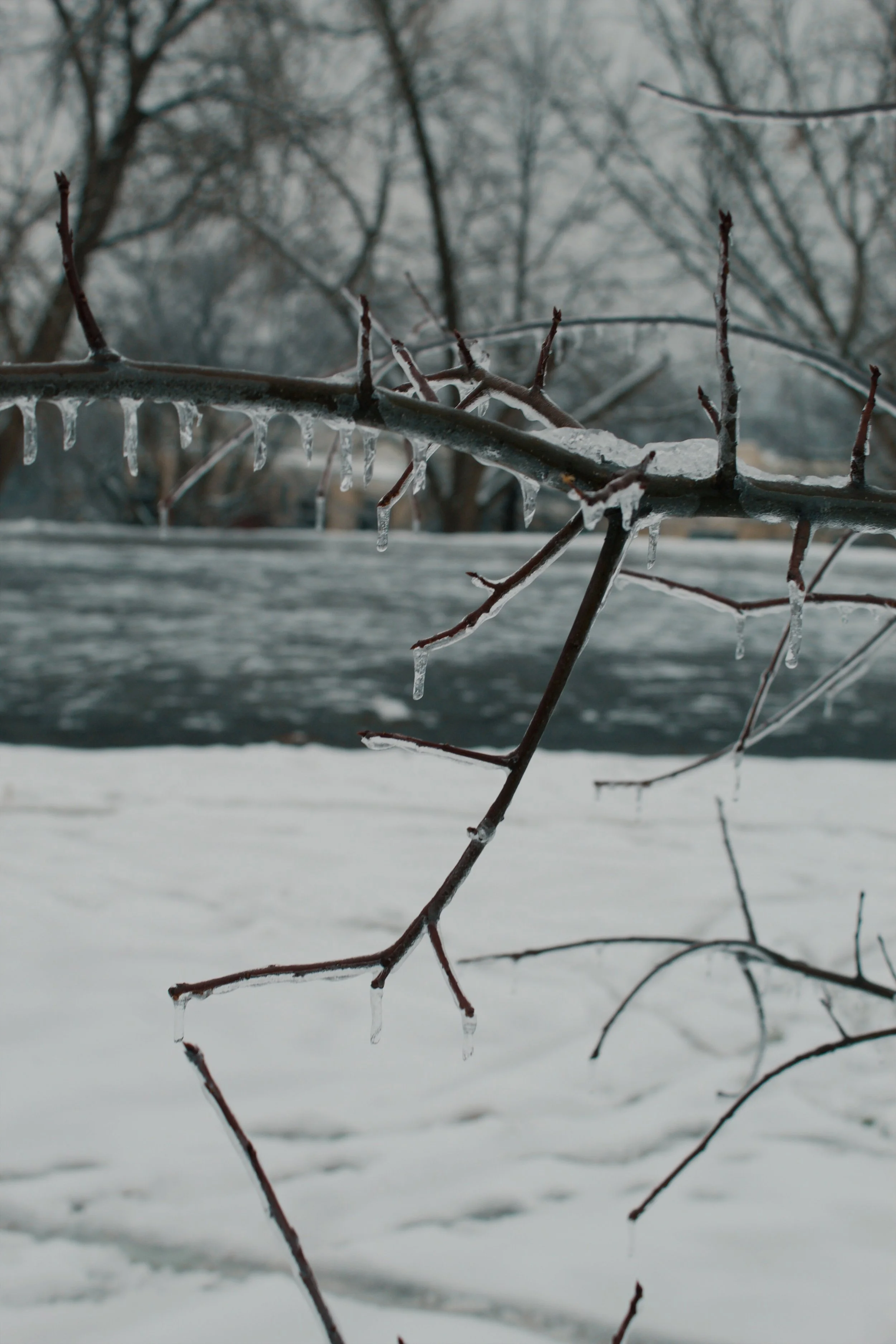 Church Hill Richmond VA, 2025