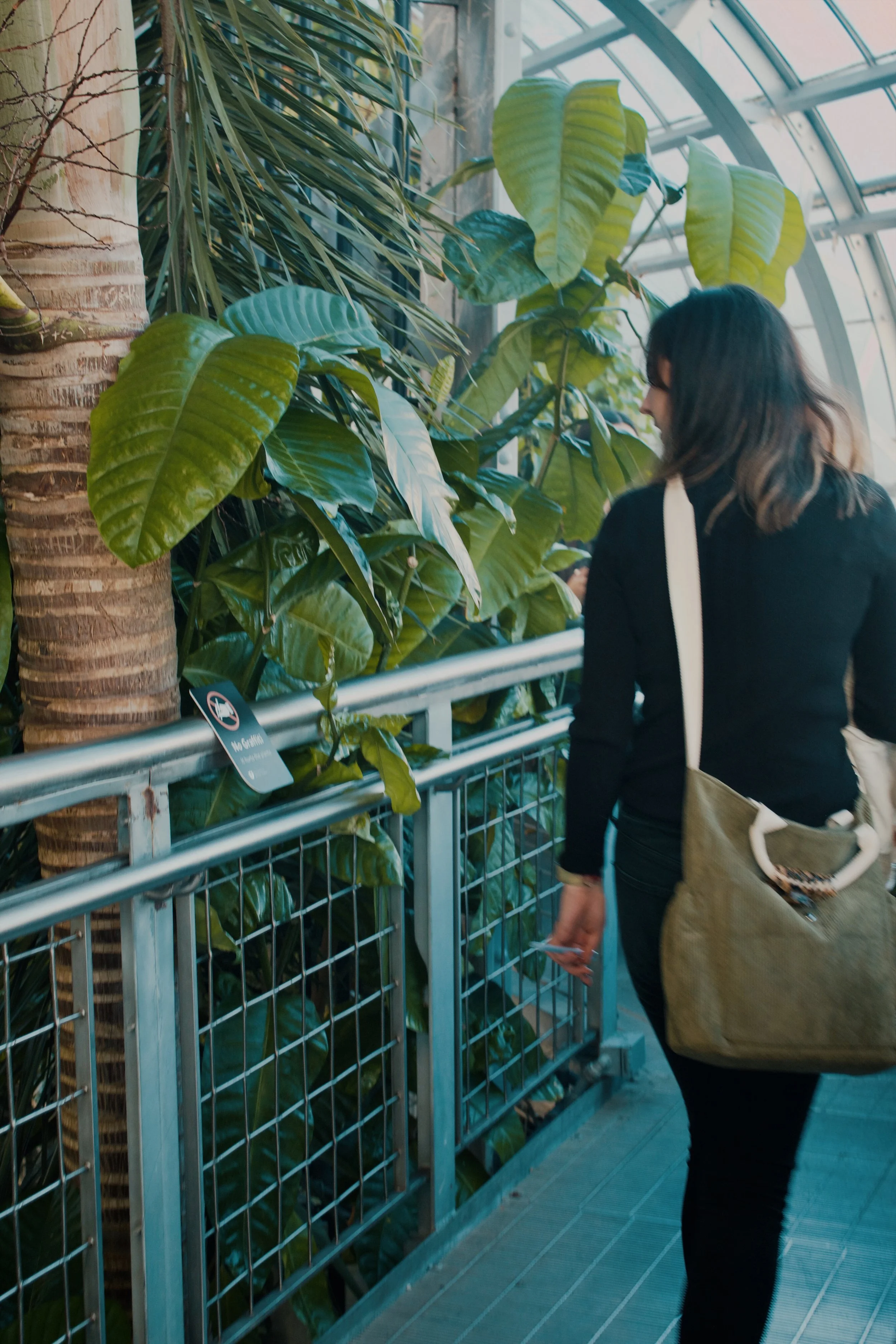 United States Botanic Garden MD, 2024