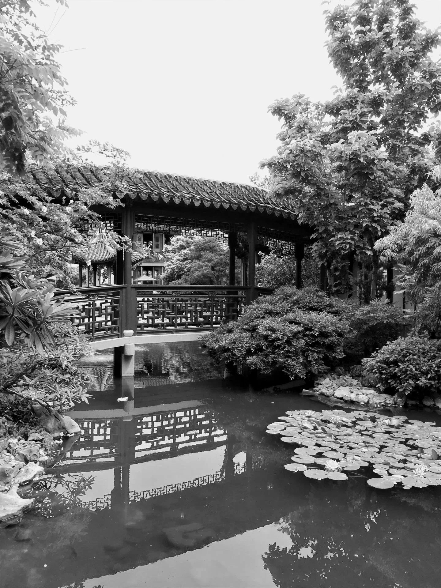 Portland Japanese Gardens OR, 2022